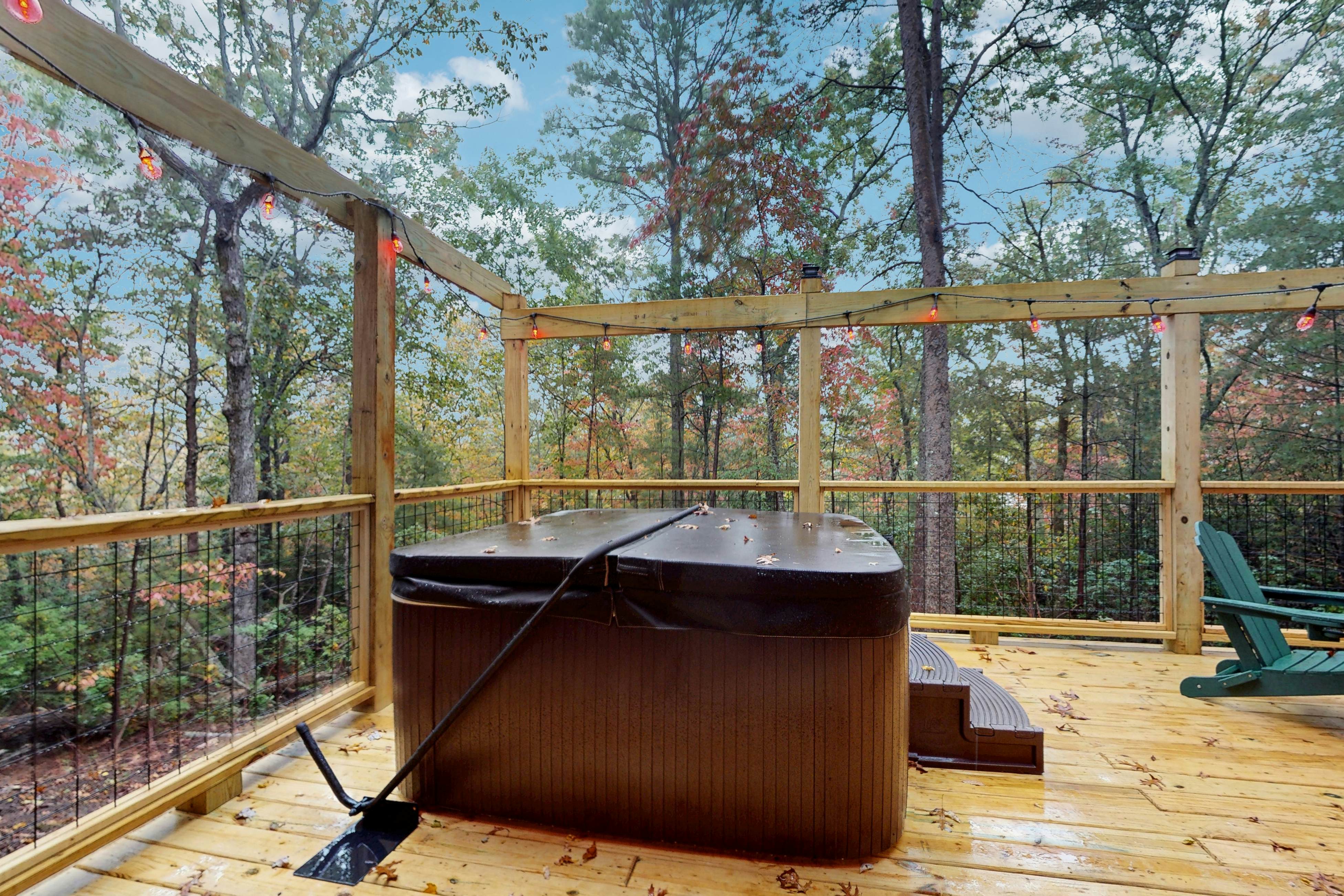 Hawk’s Landing at Innsbruck 