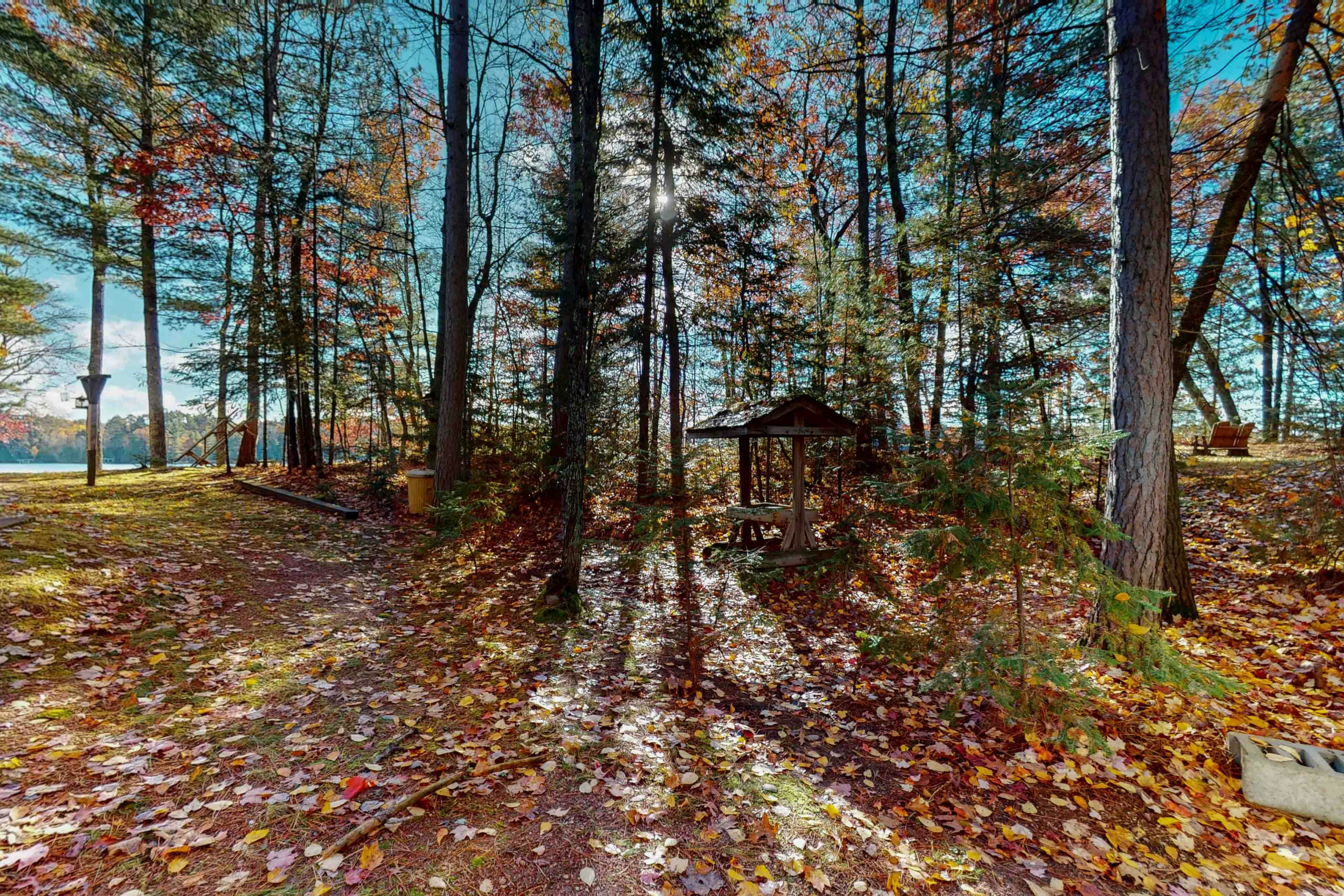 Loons Nest on Bass Lake