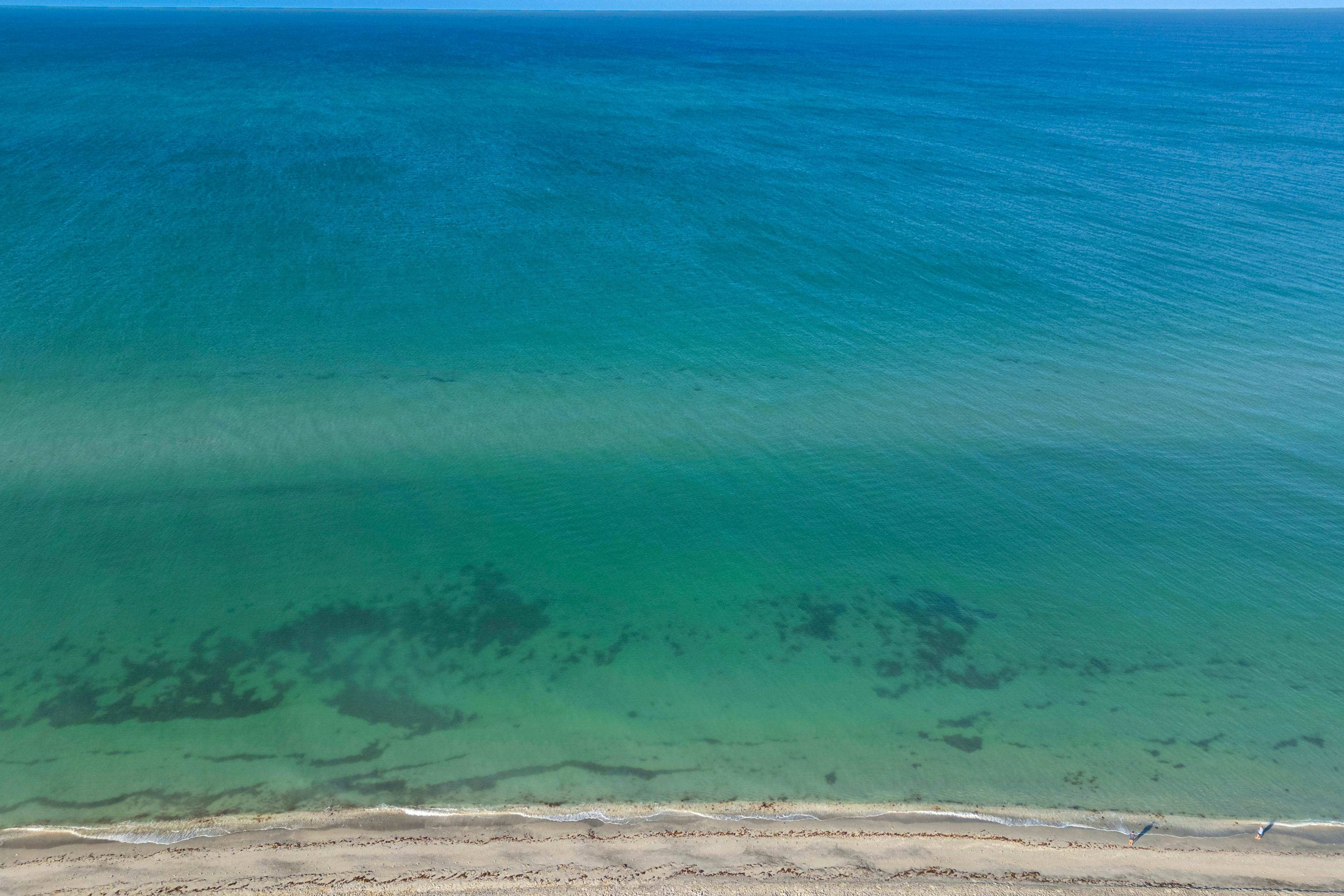 Salty Daze- The Oasis 