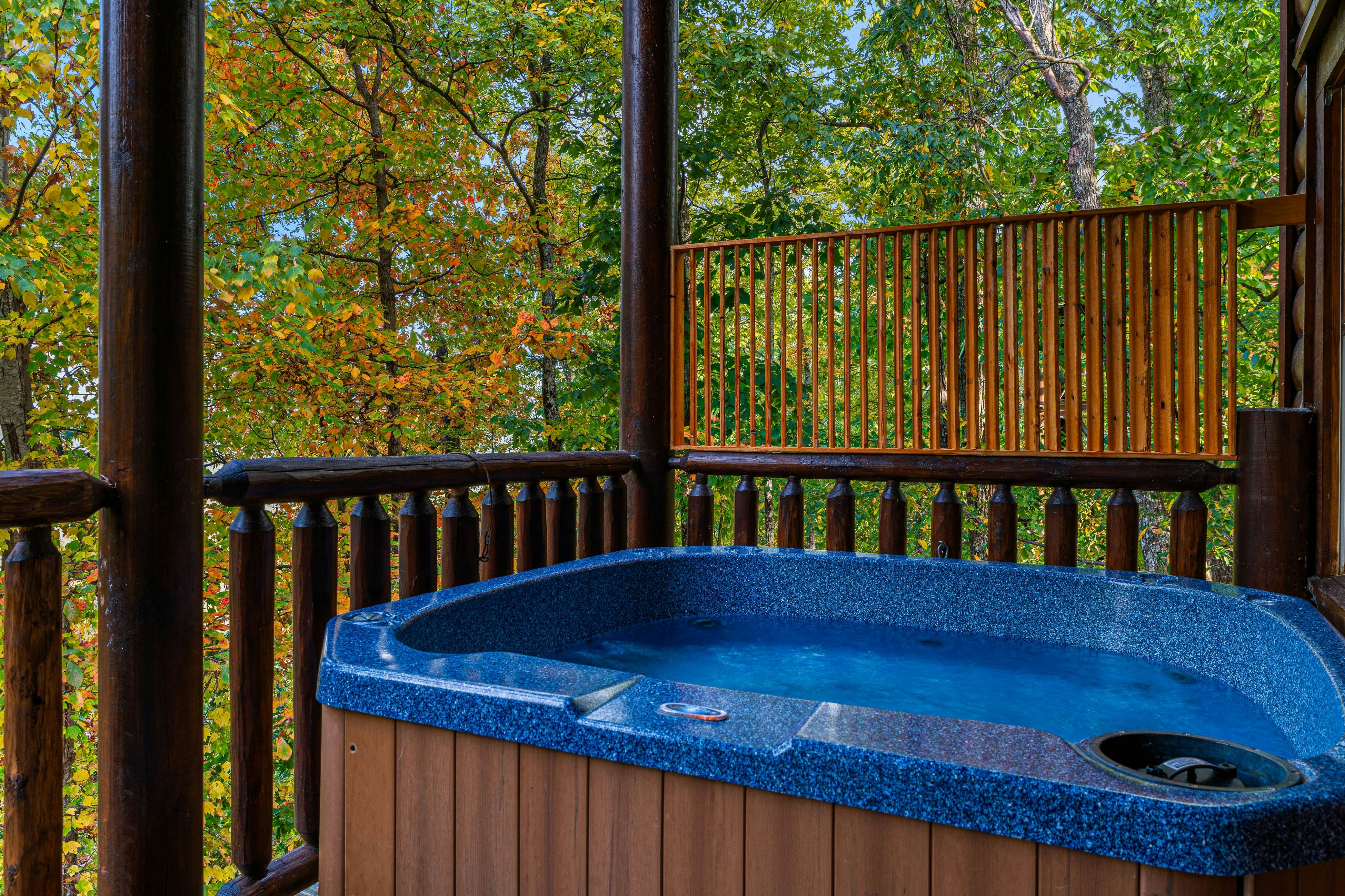 Legacy Mountain Resort - Left on Top of the World