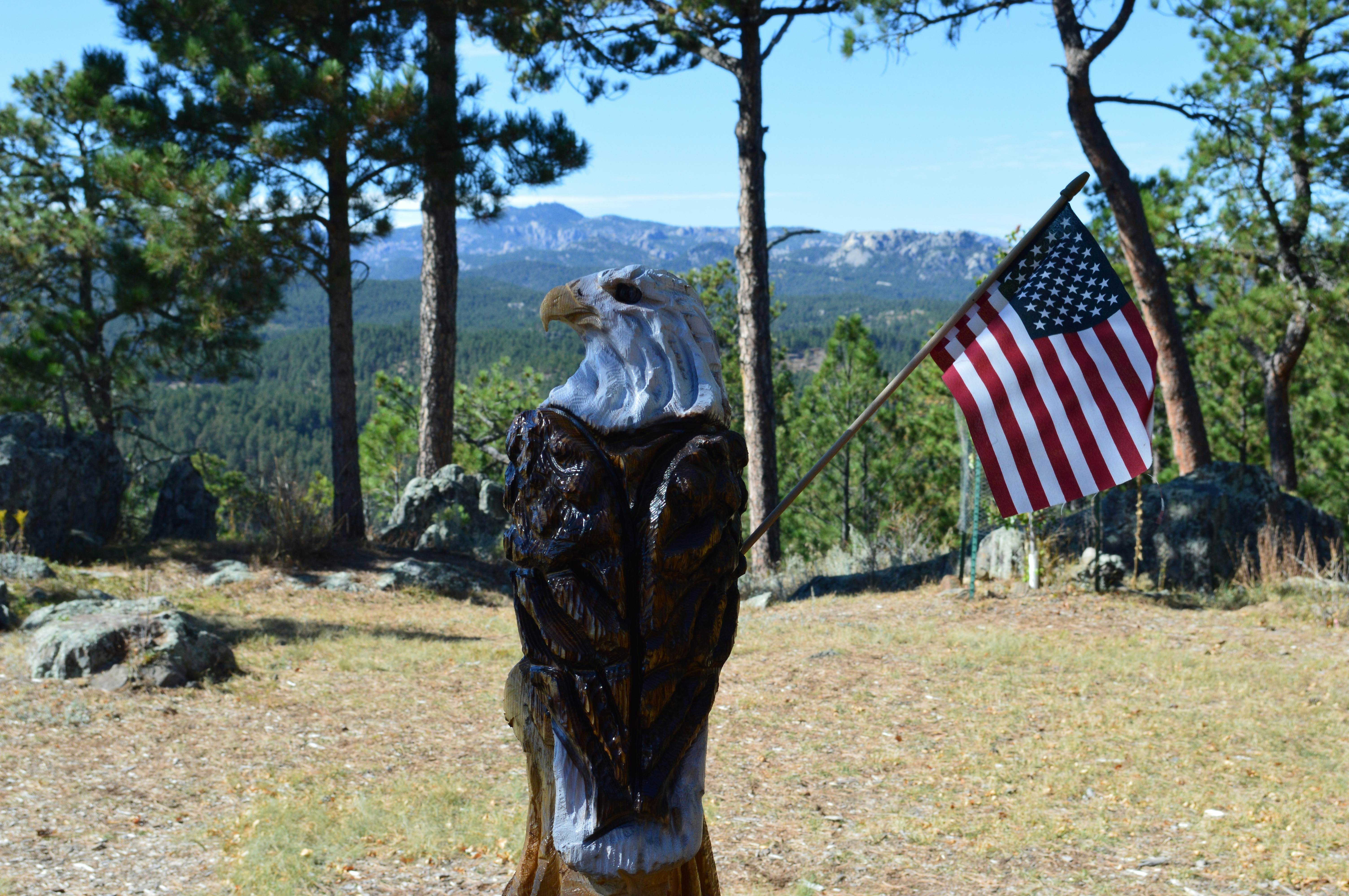 Black Hills Mountain Lodge