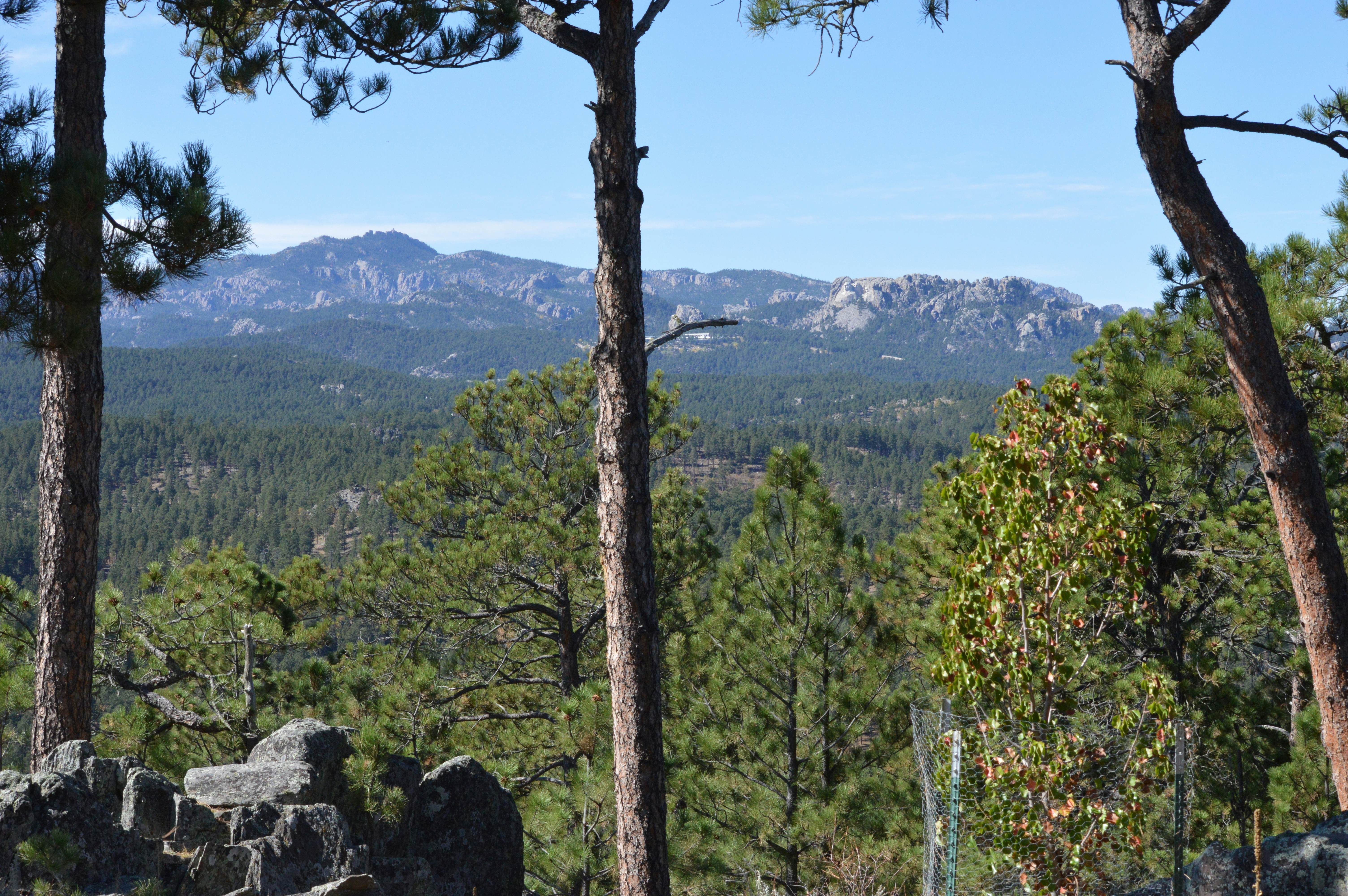 Black Hills Mountain Lodge
