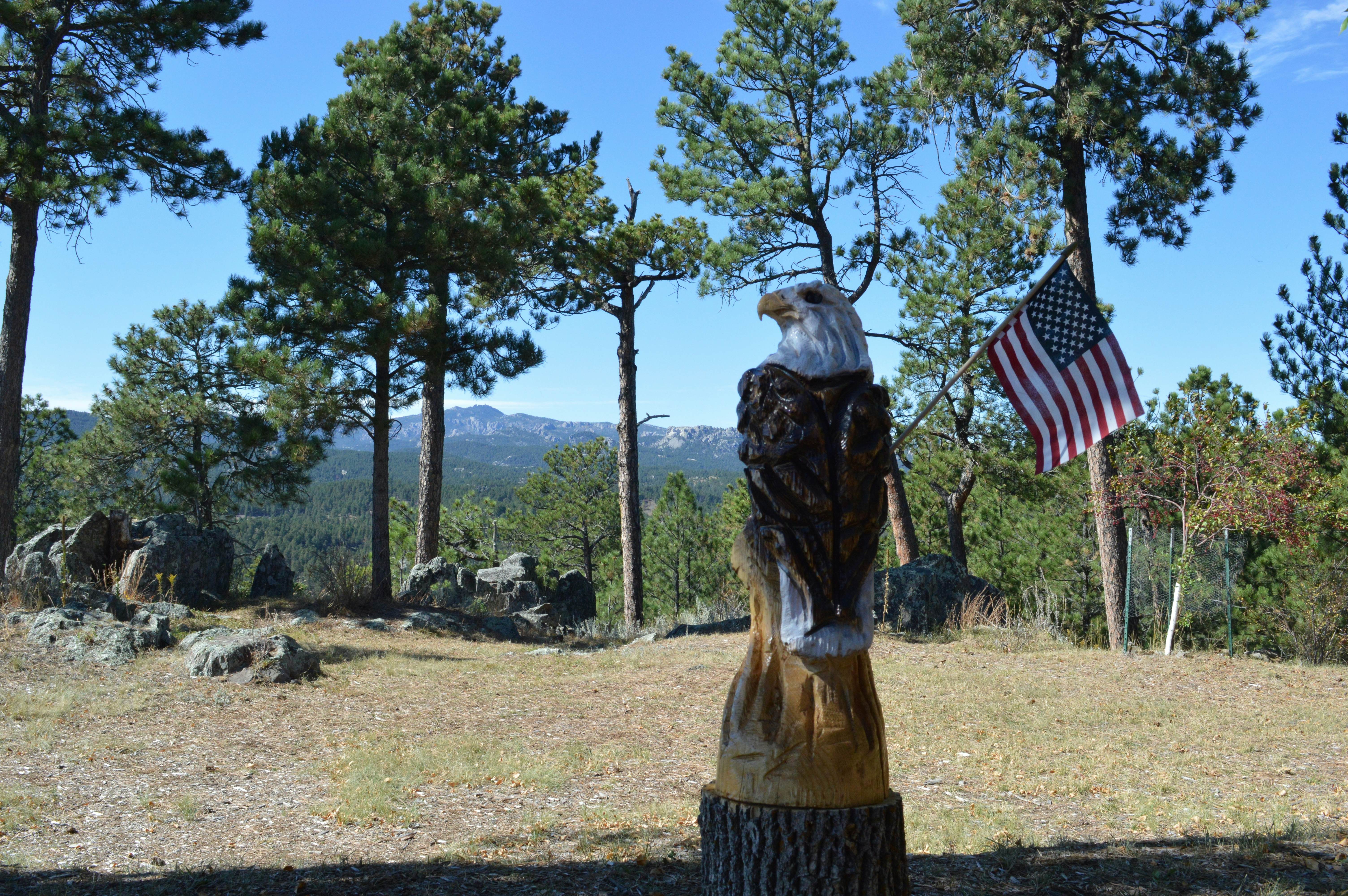 Black Hills Mountain Lodge