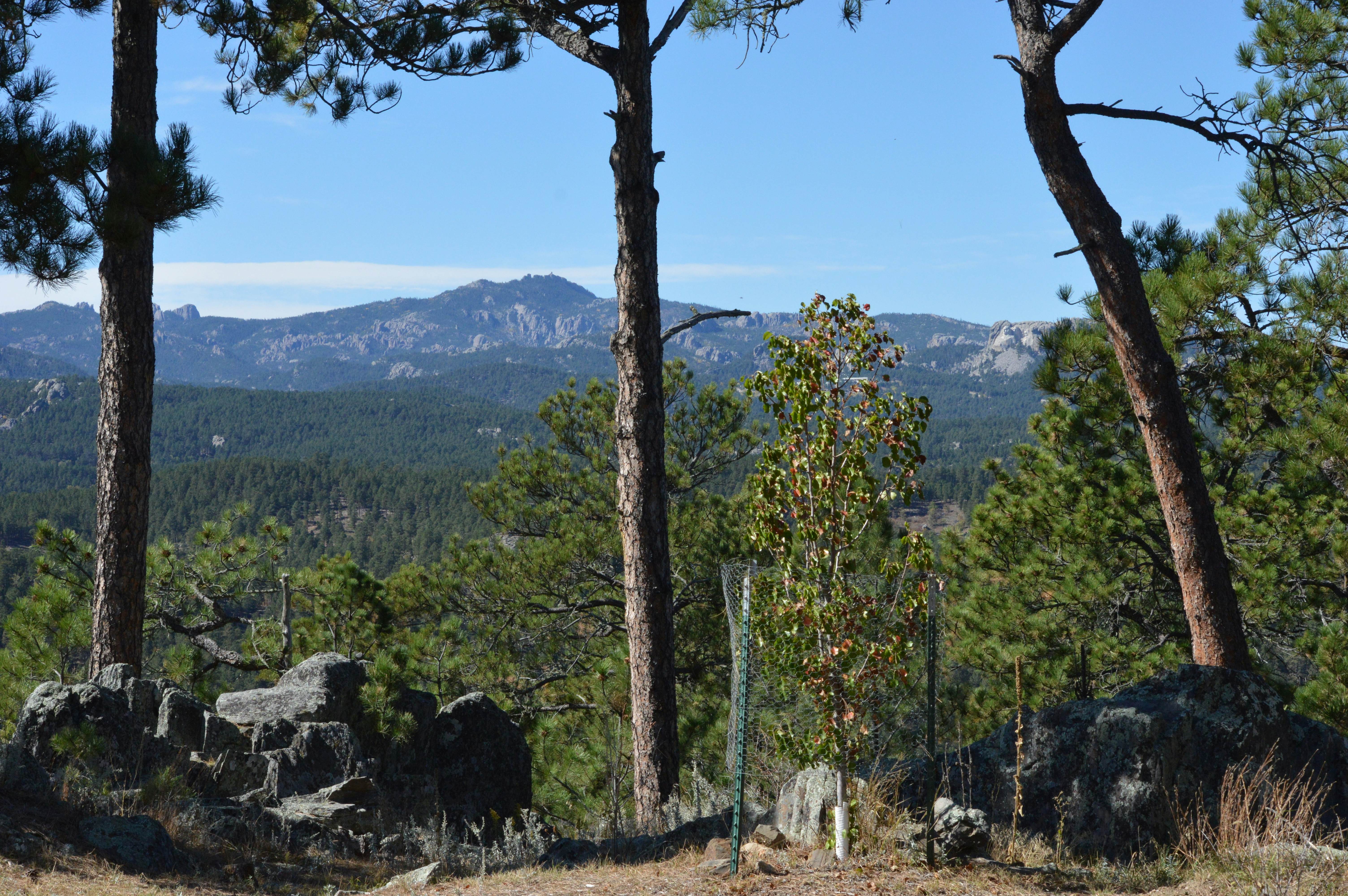 Black Hills Mountain Lodge