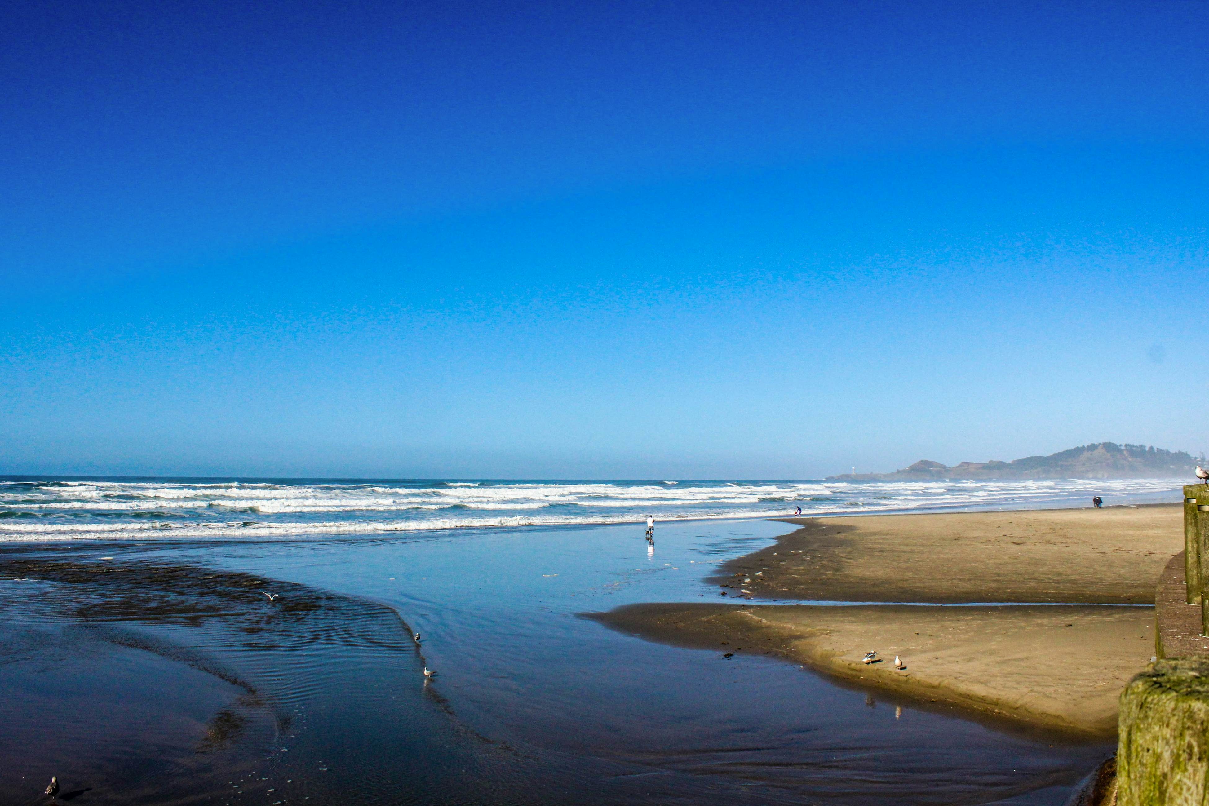 NYE Beach Haven Studio