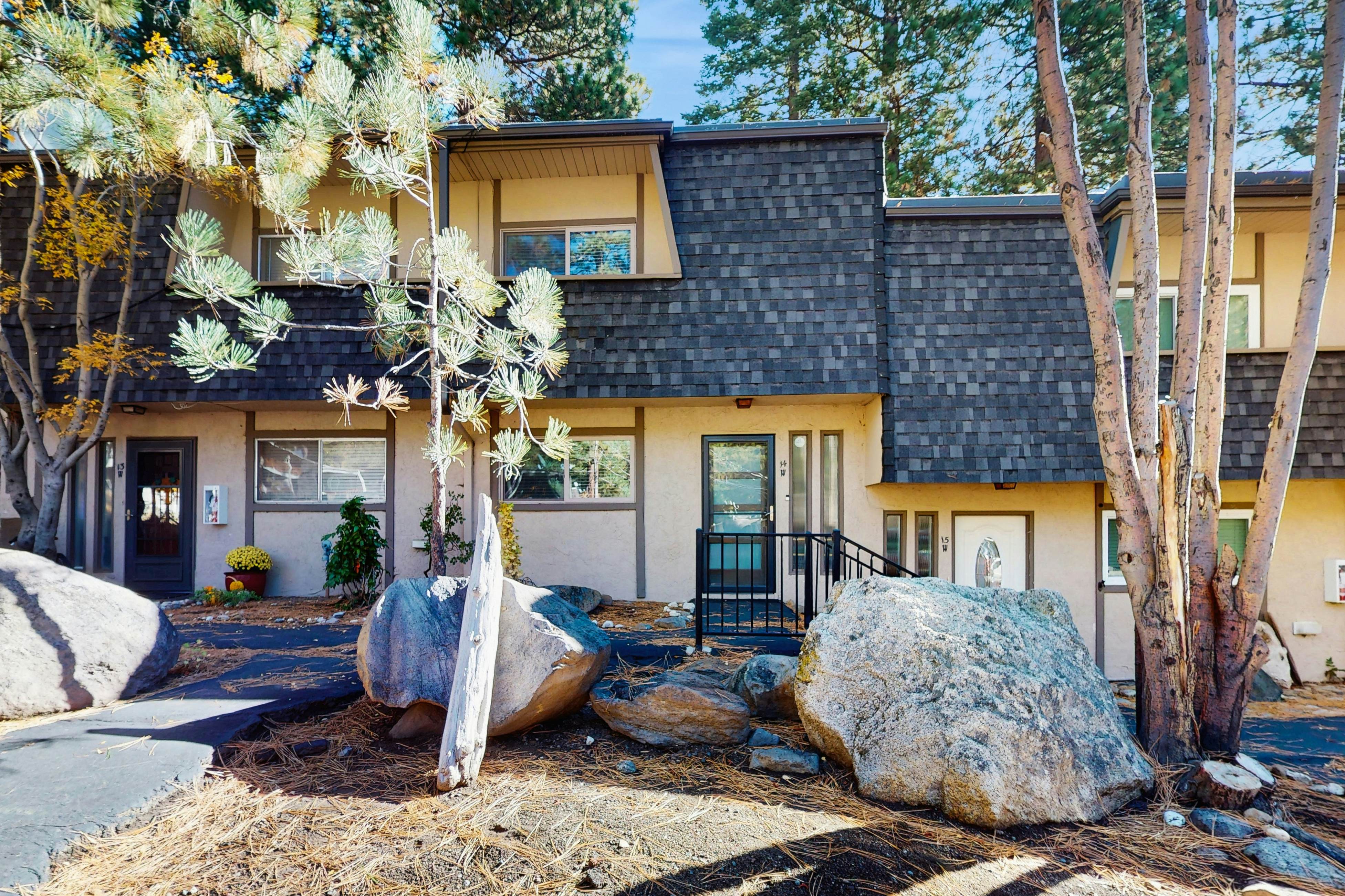 Peace Among the Pines