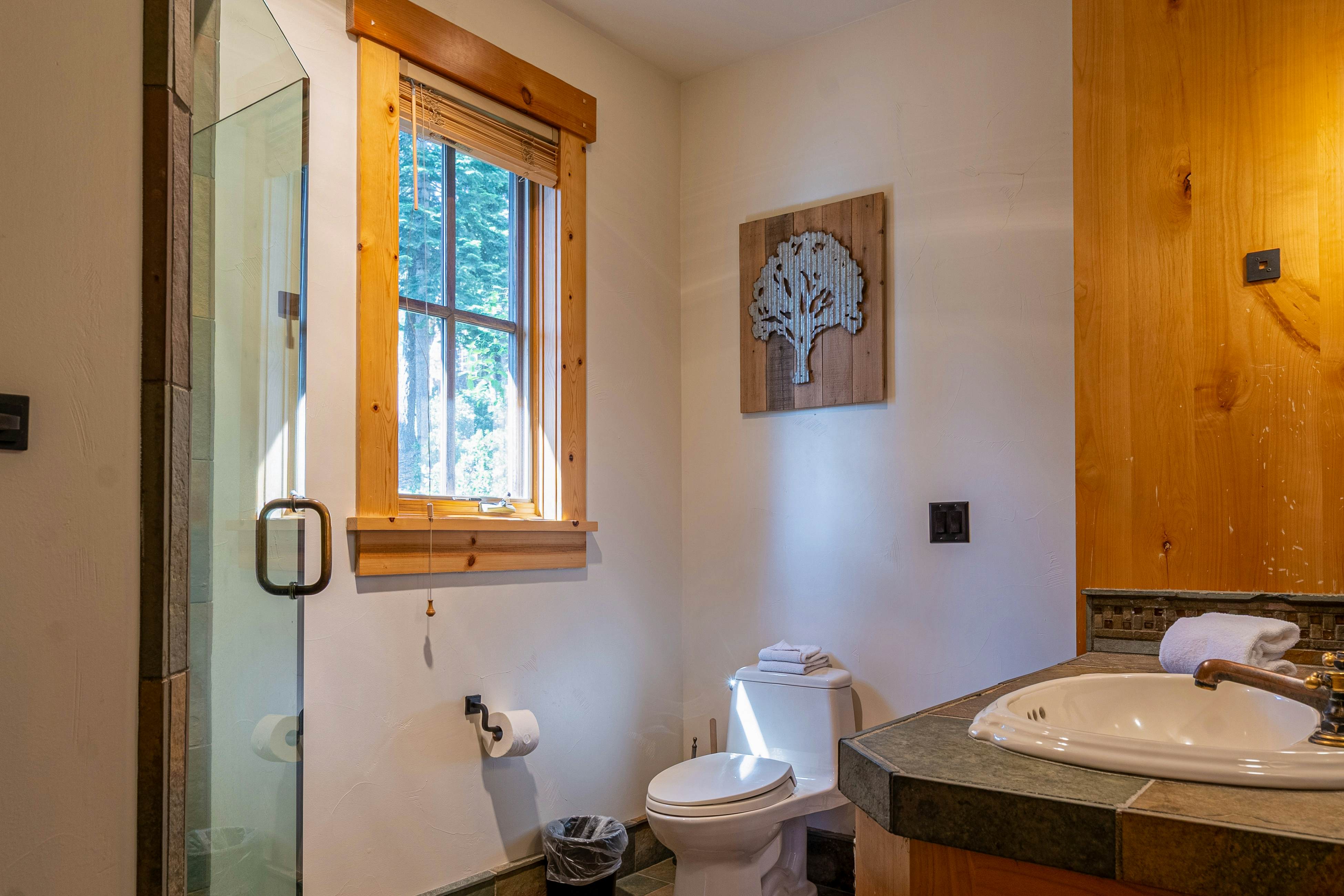 Silverfox at Northstar