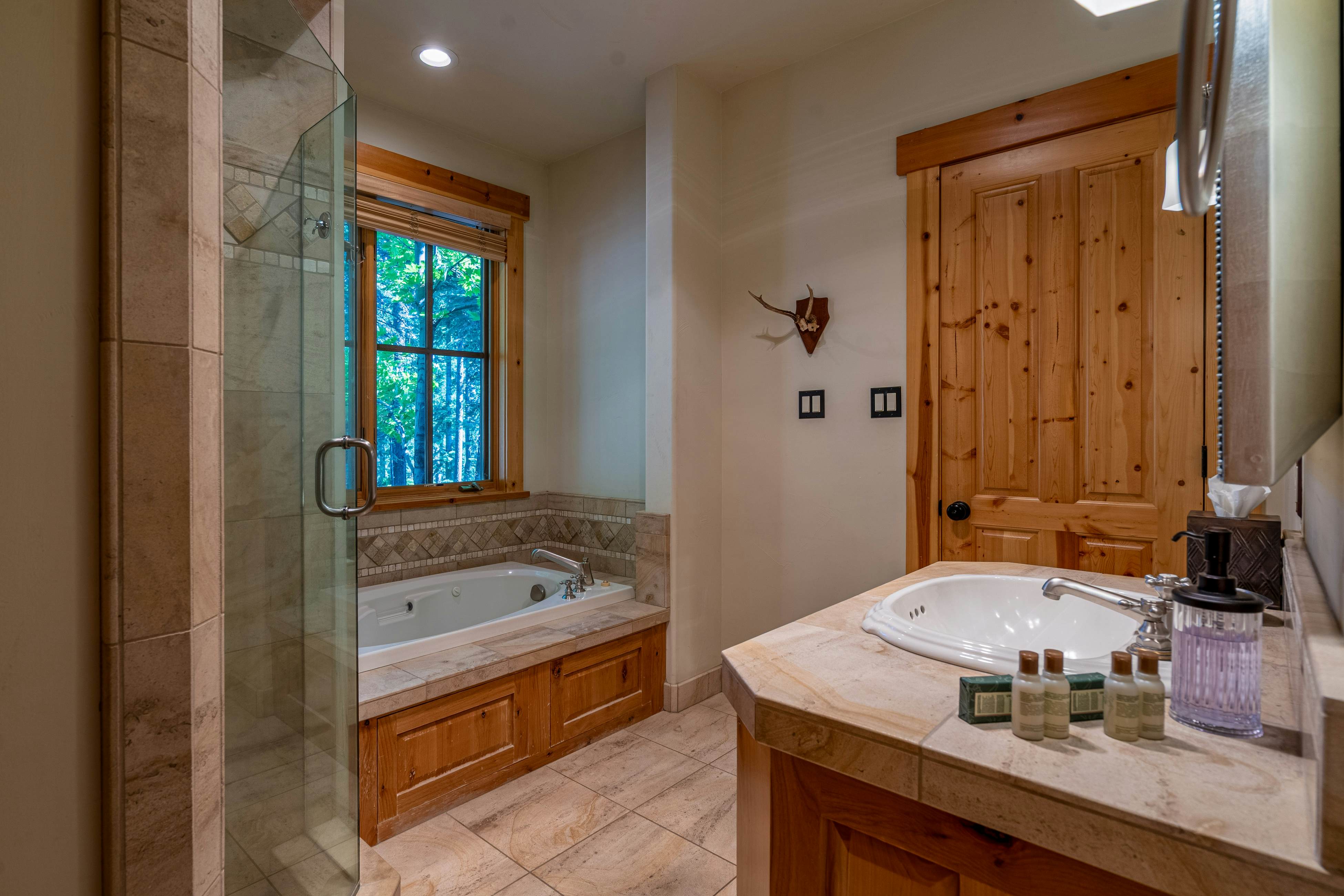 Silverfox at Northstar