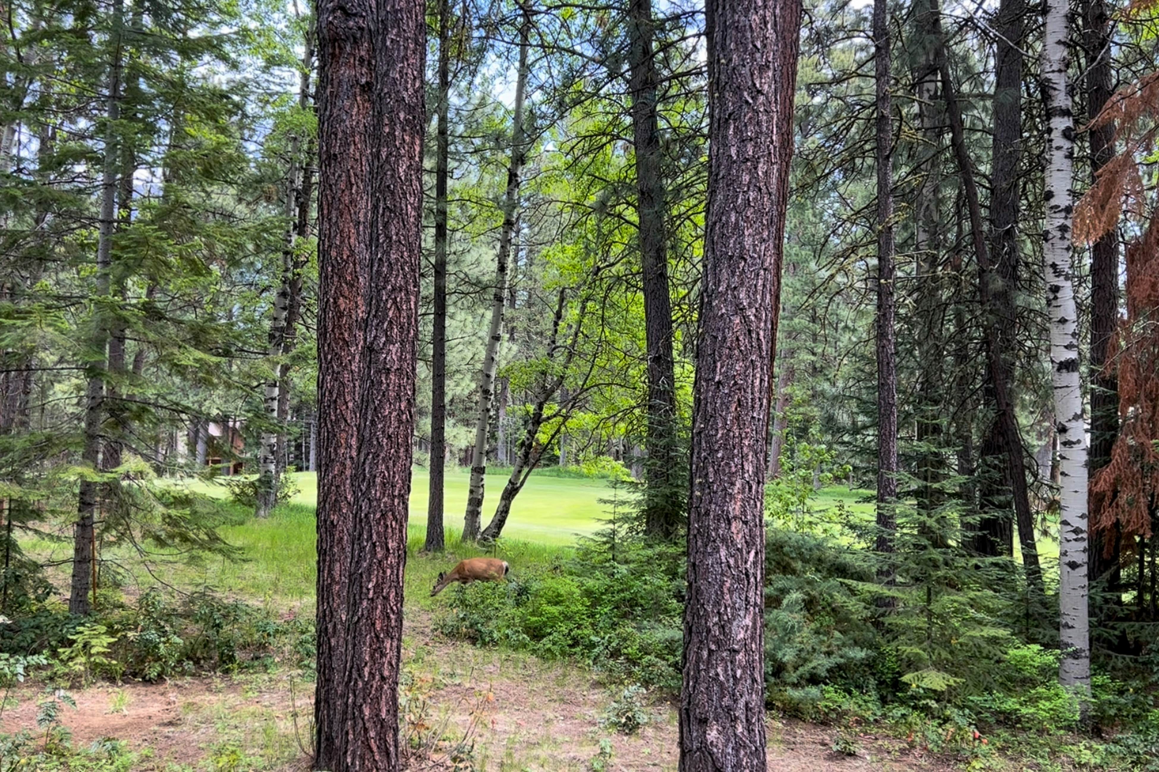 Black Butte Ranch SM79