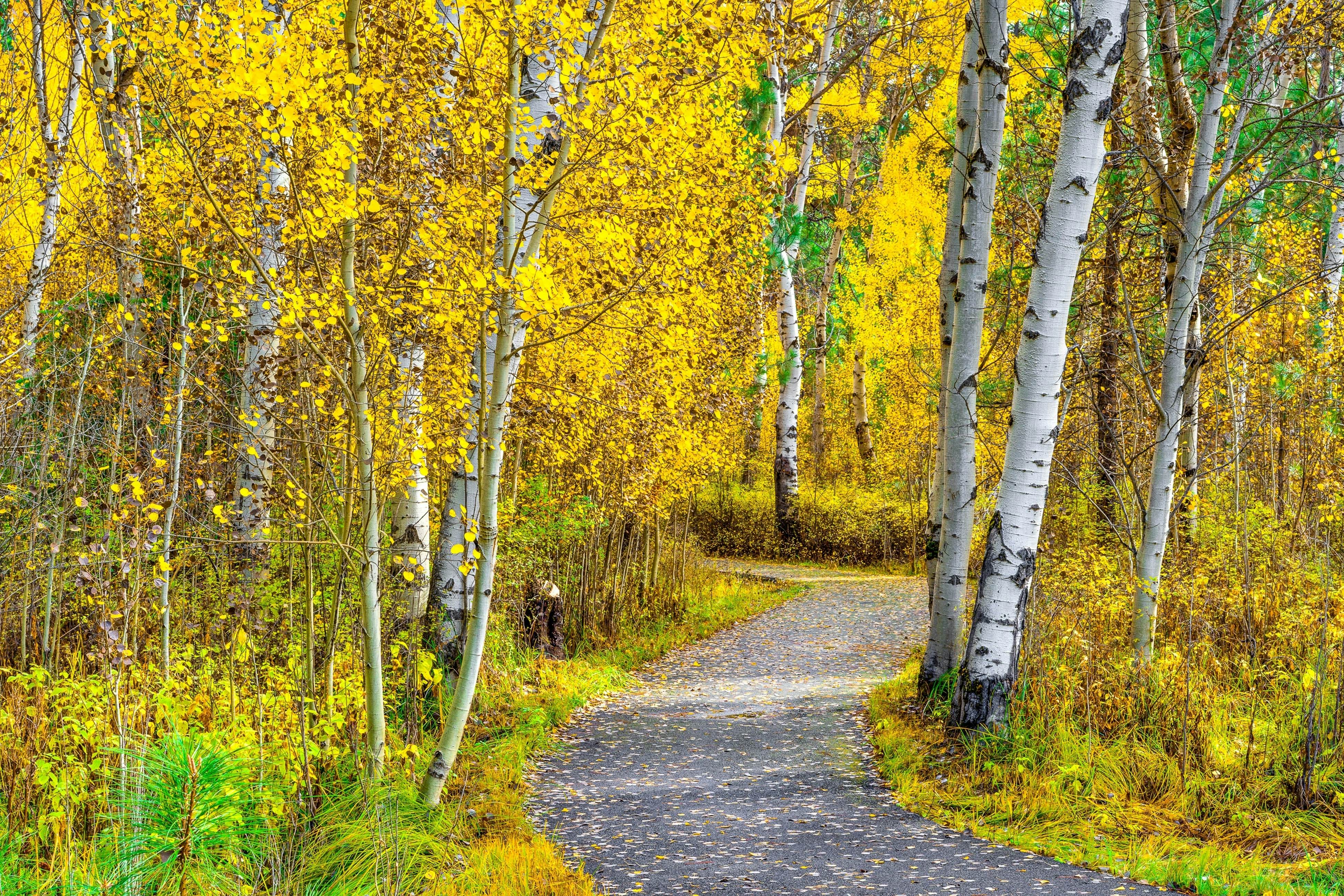 Black Butte Ranch SM79