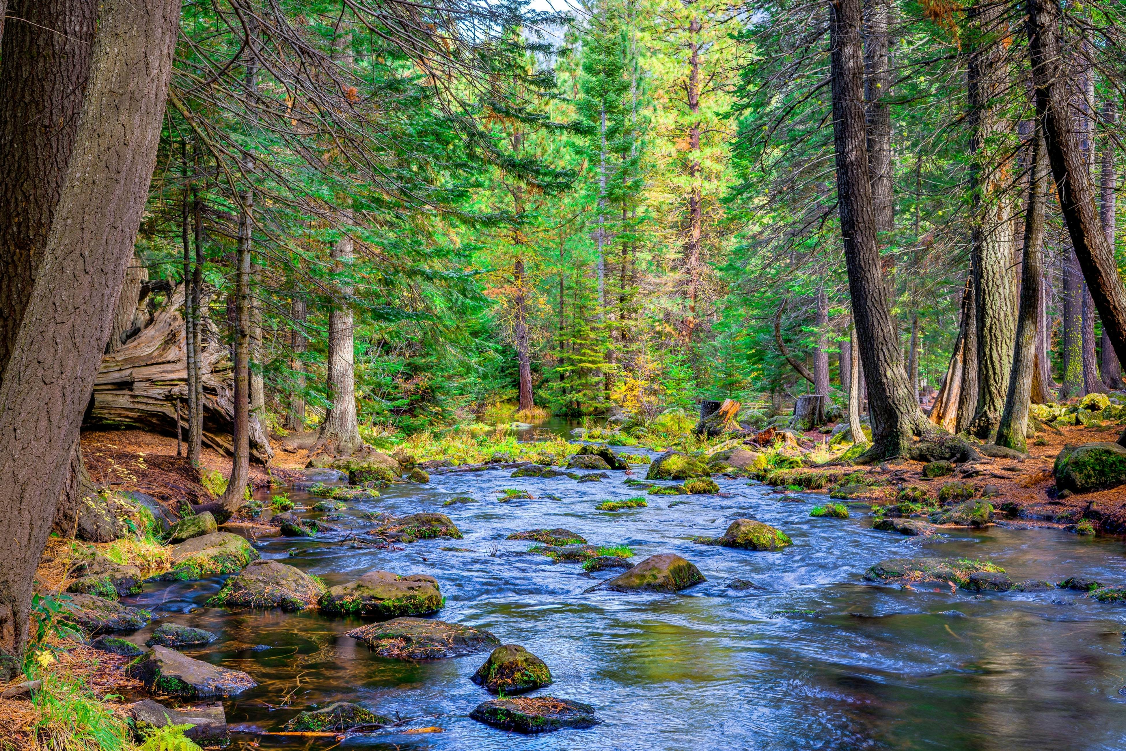 Black Butte Ranch SM79
