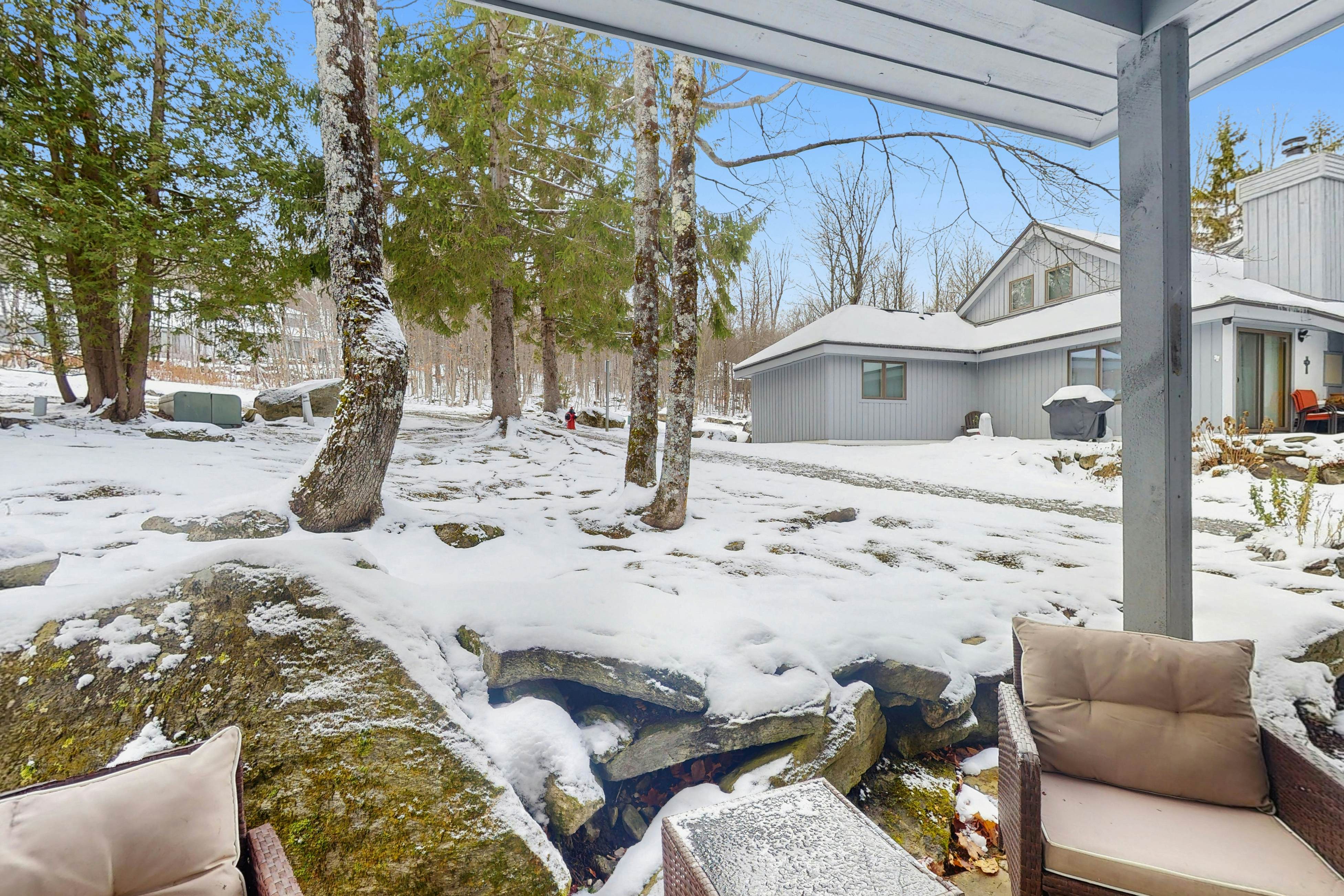 The Woods - Village 4