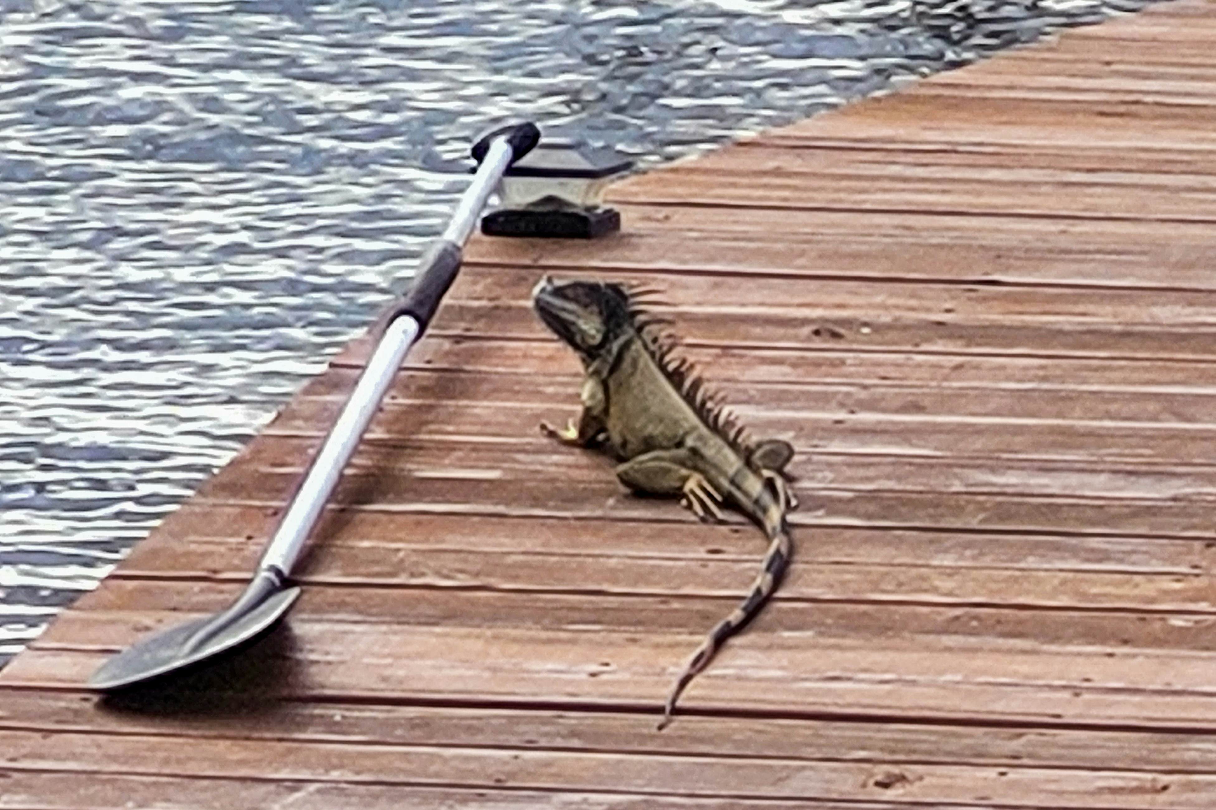 Poseidon House at Casa Edie -Gold Standard Certified