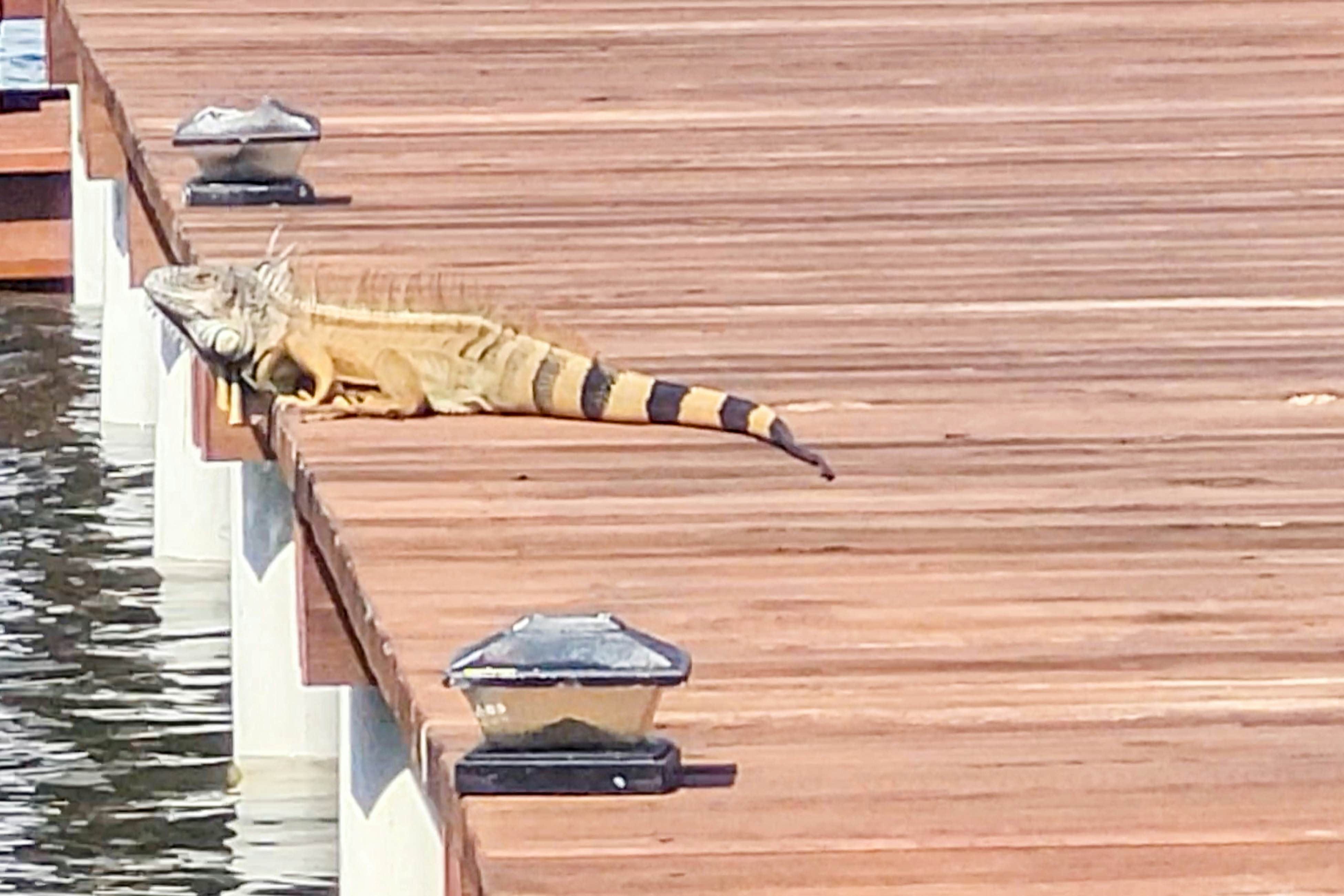 Poseidon House at Casa Edie -Gold Standard Certified