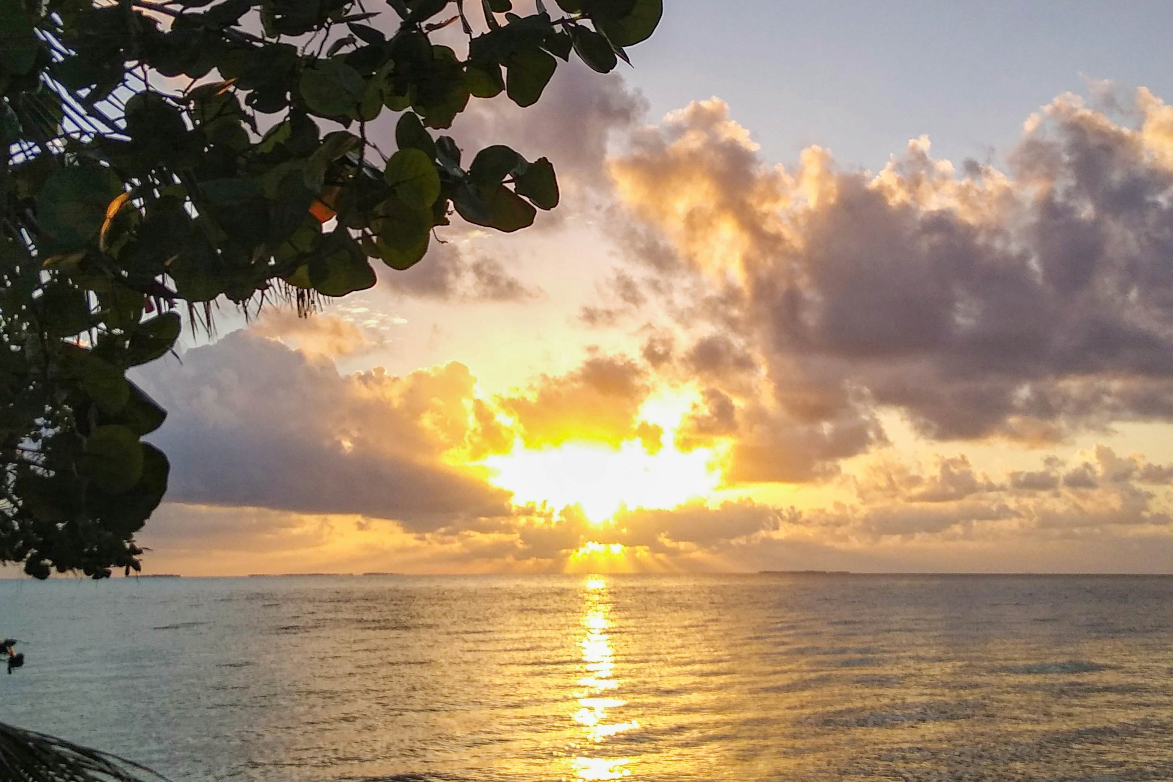 Poseidon House at Casa Edie -Gold Standard Certified