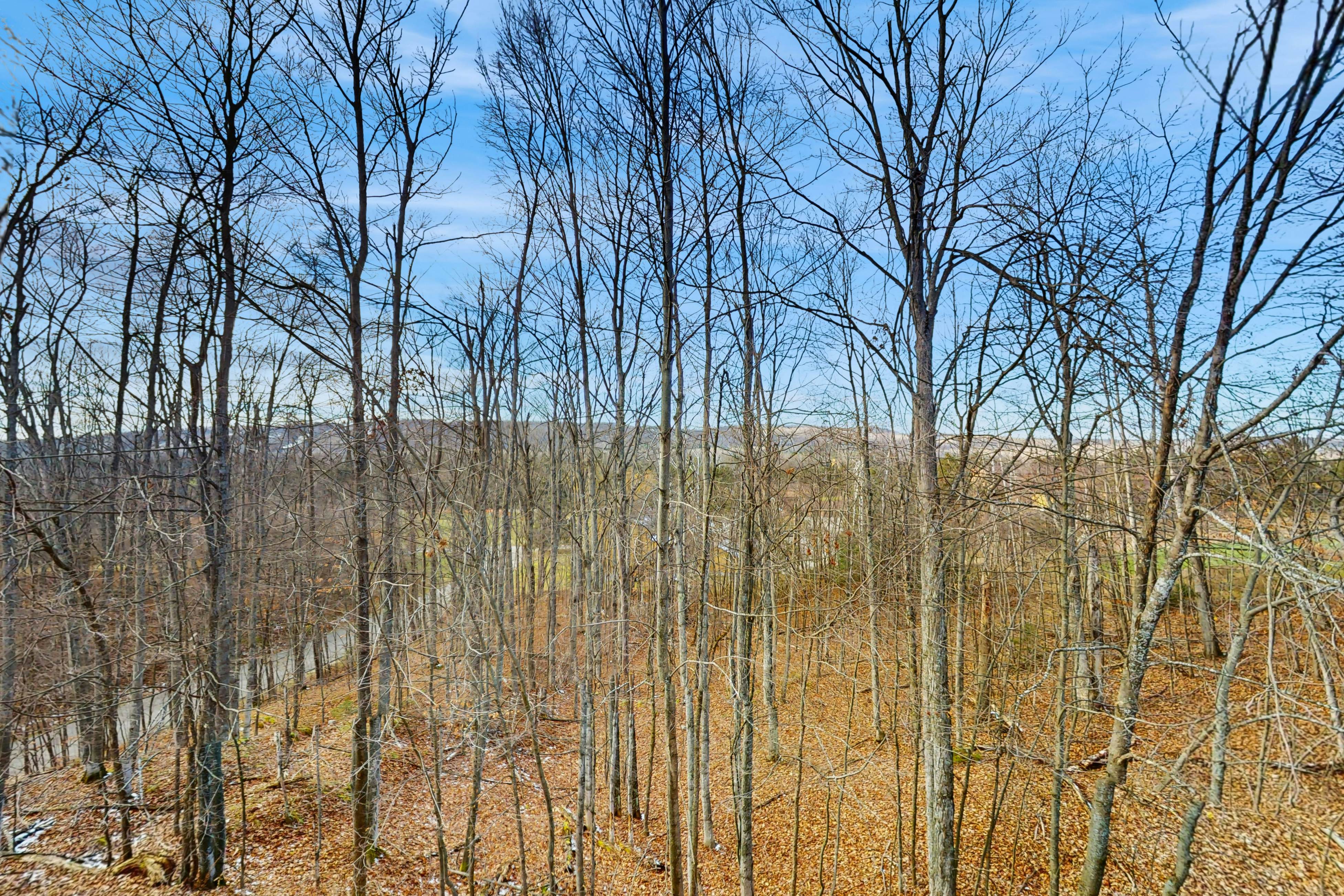  Trout Creek Condo Resort: Condo 78