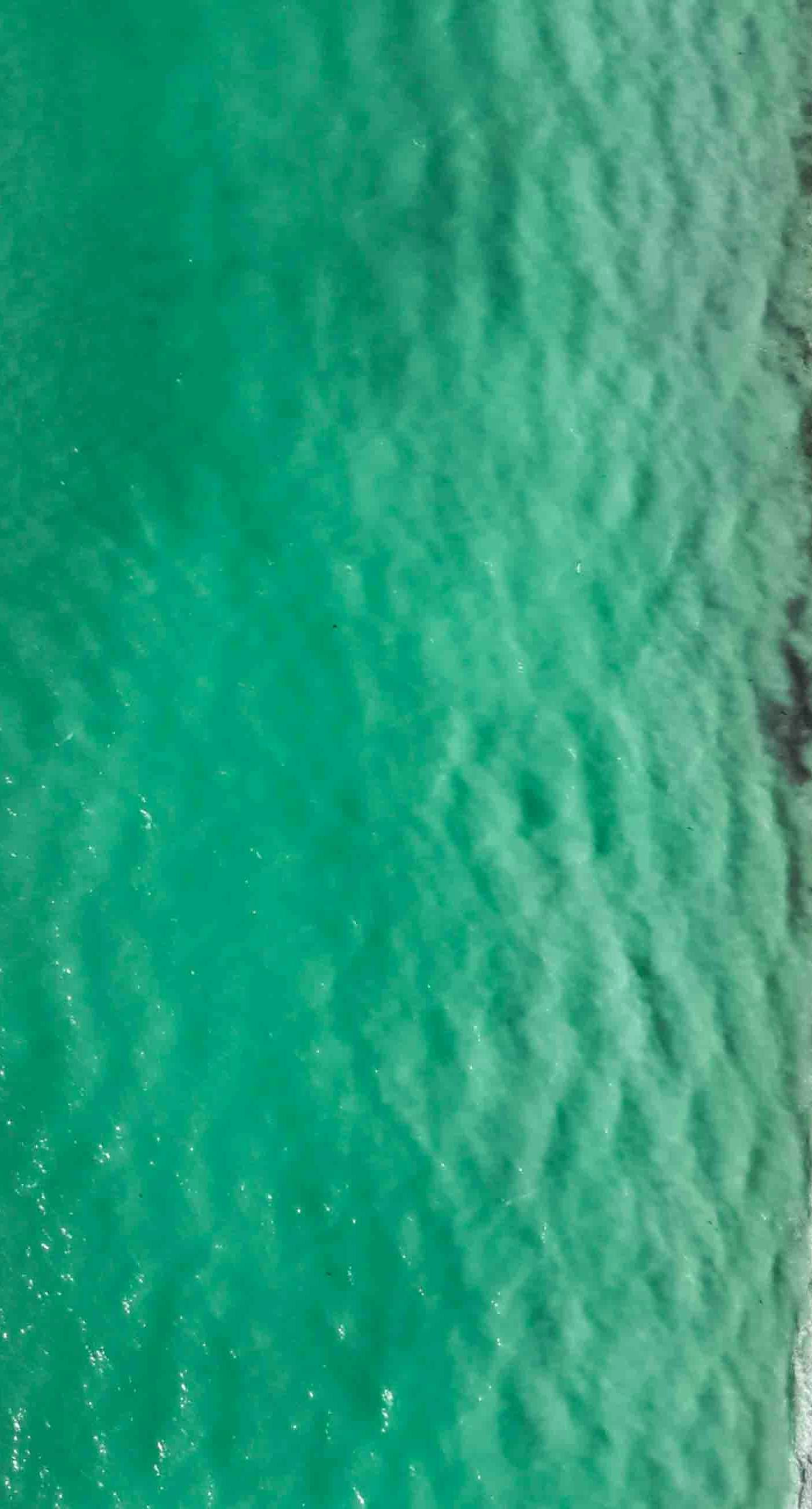 The Beach Hive Cottage