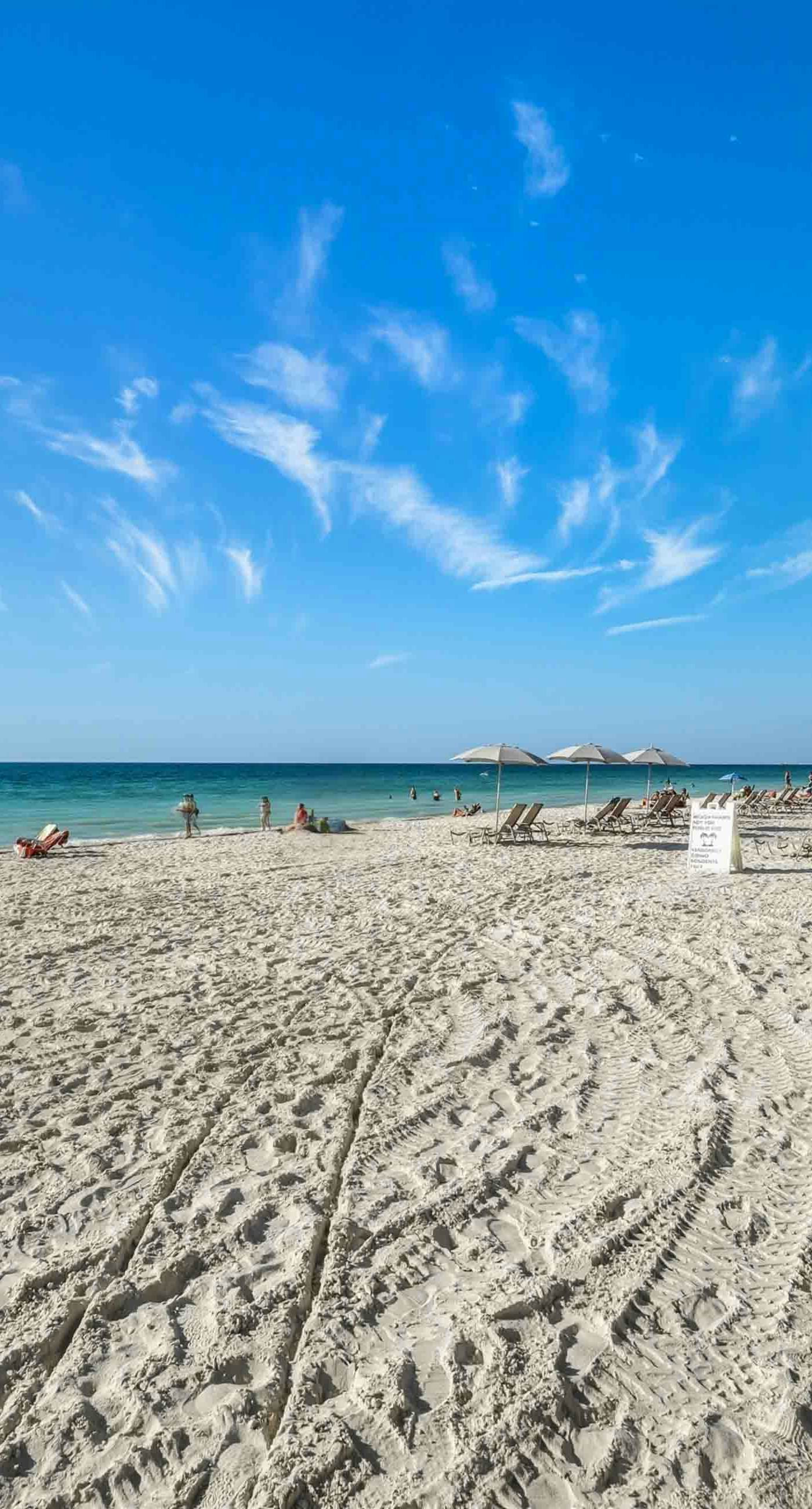 The Beach Hive Cottage