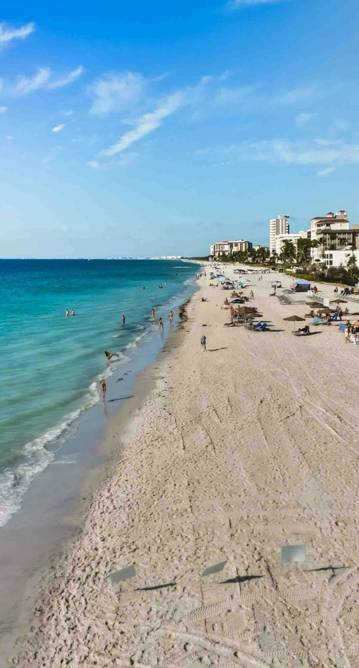 The Beach Hive Cottage