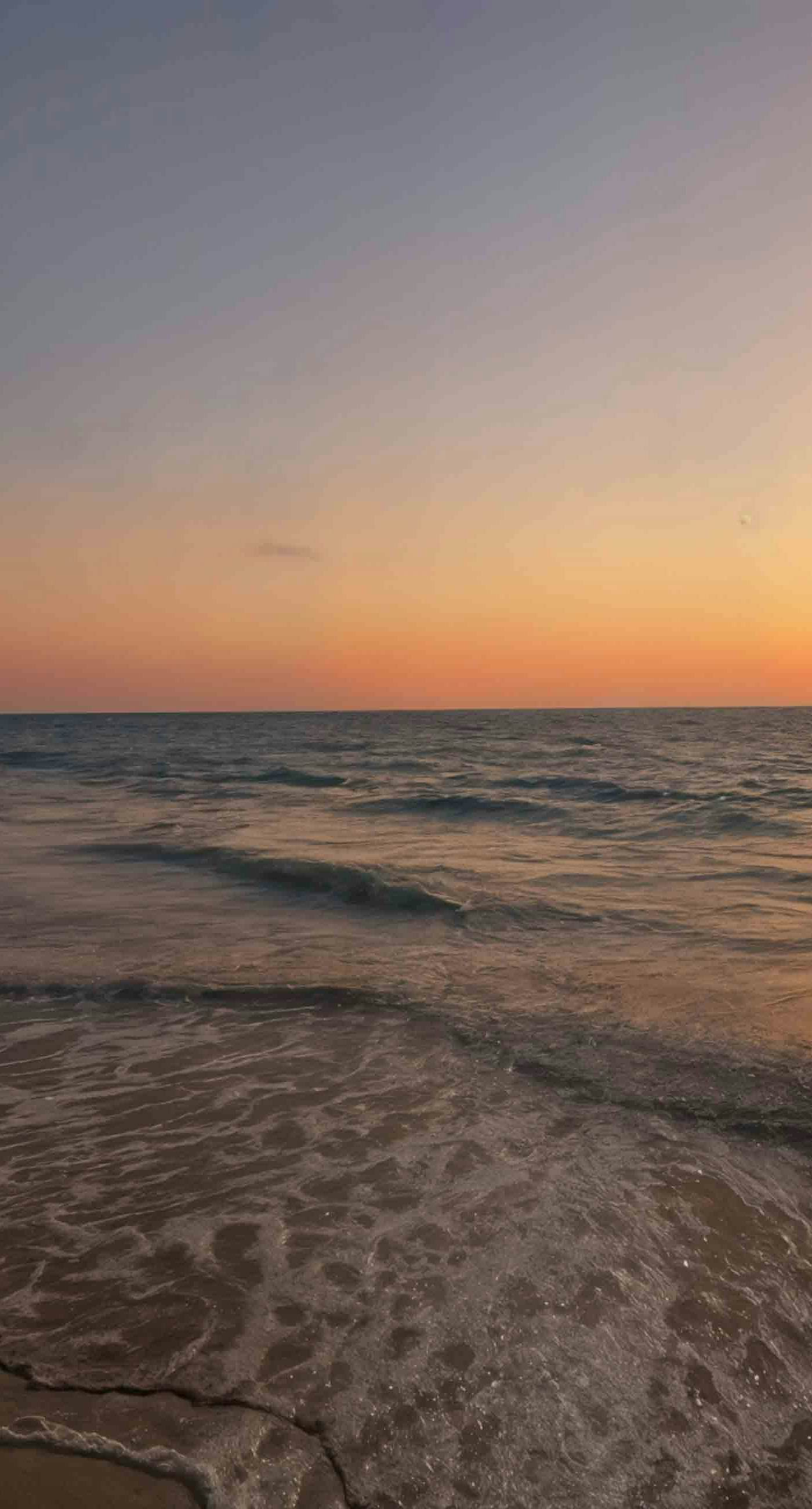 The Beach Hive Cottage