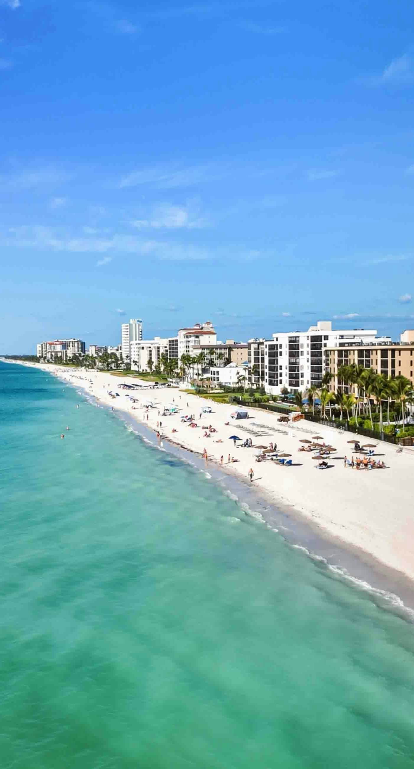 The Beach Hive Cottage