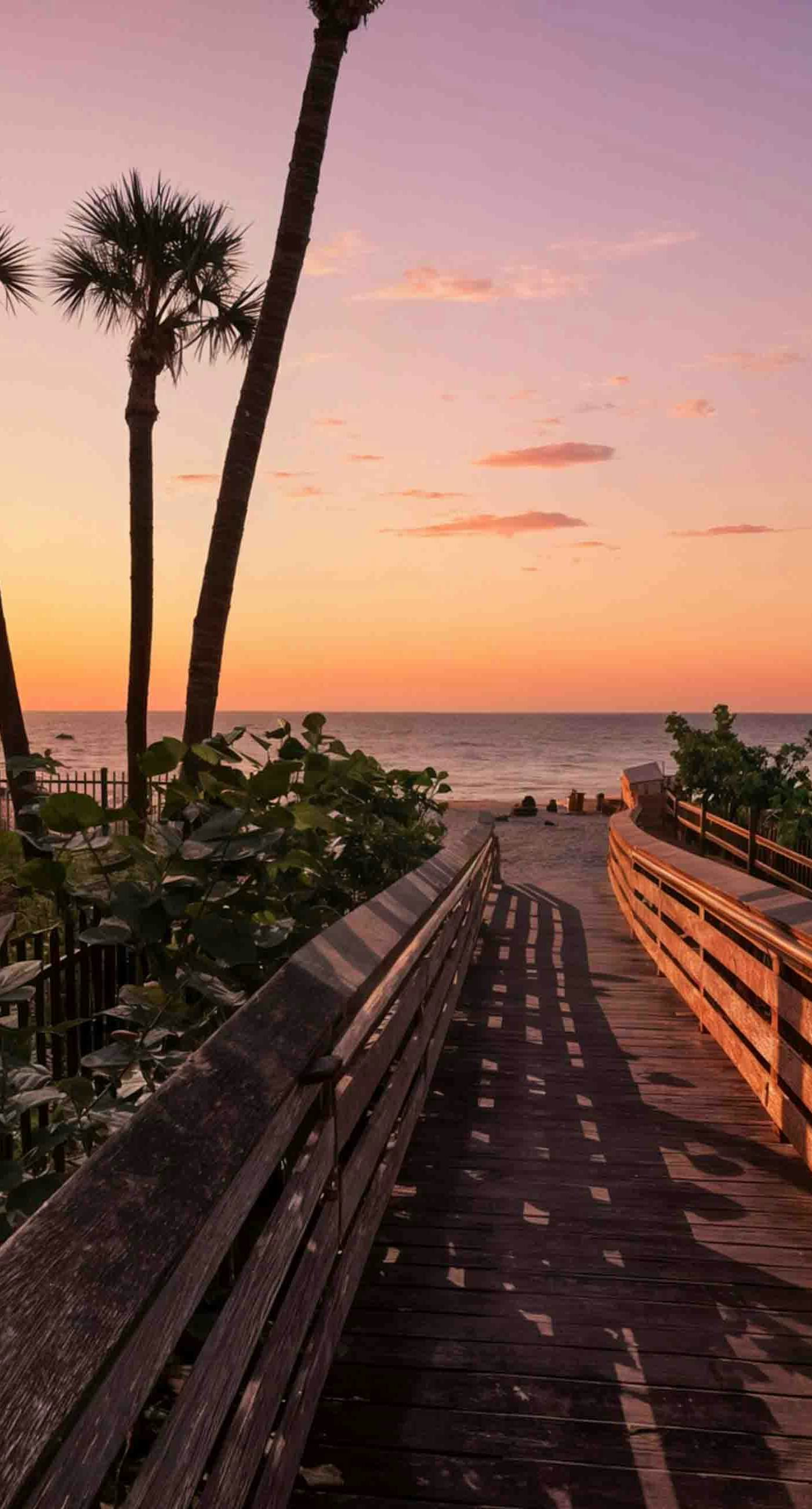 The Beach Hive Cottage