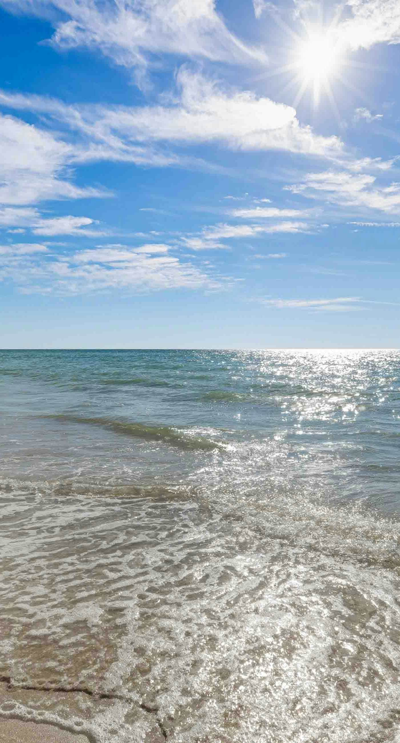 The Beach Hive Cottage