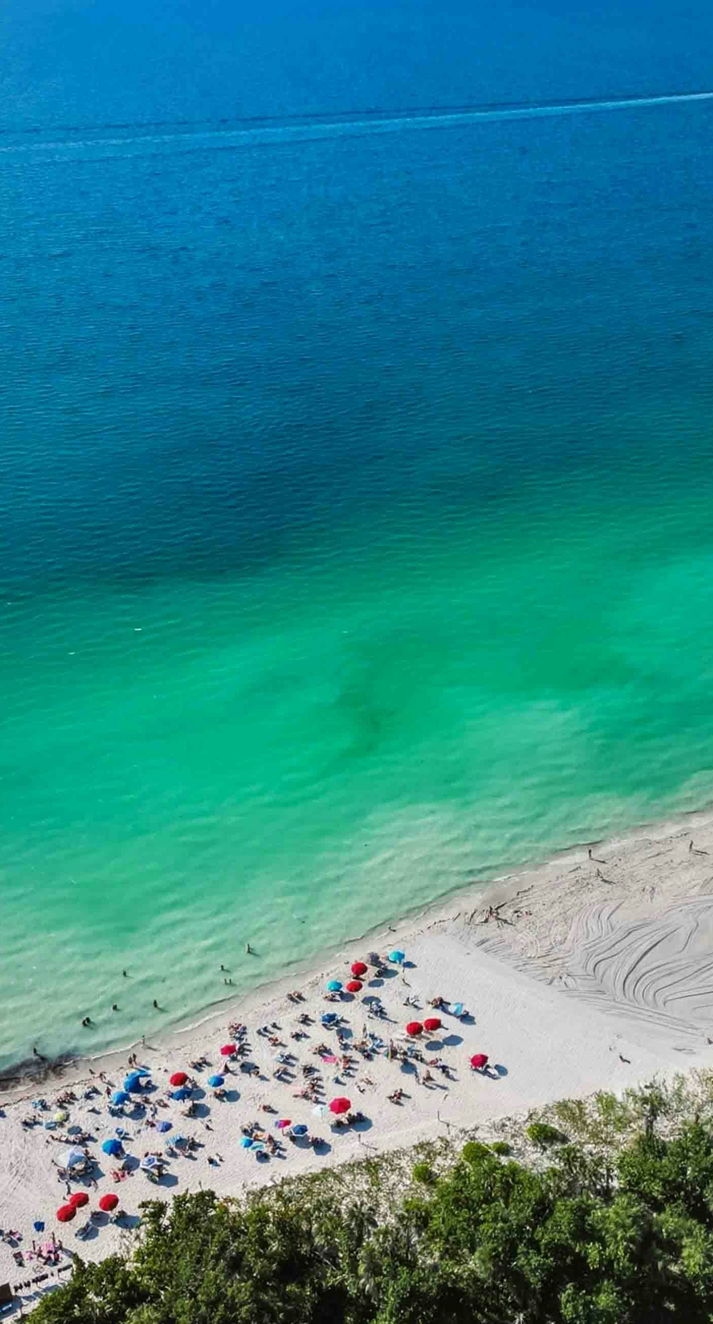 The Beach Hive Cottage