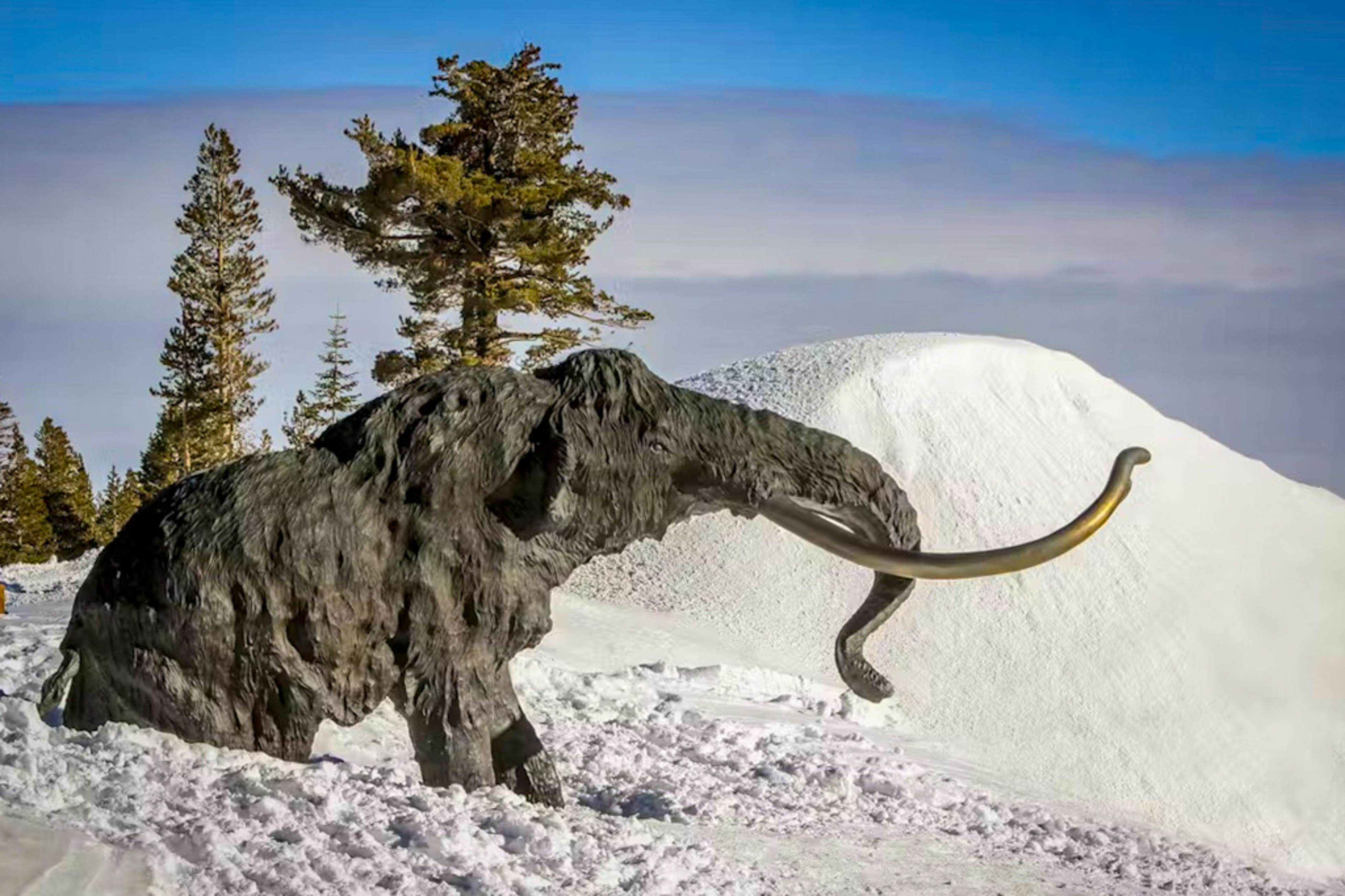 Mammoth View Villas 24