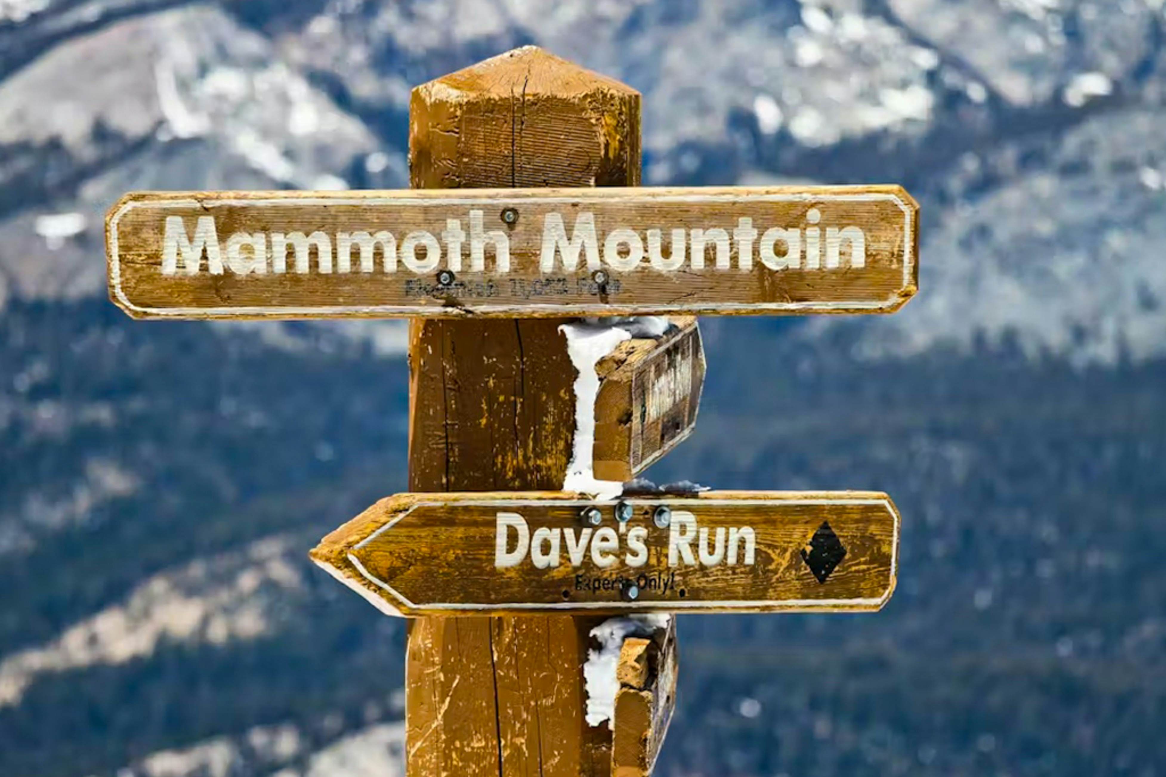 Mammoth View Villas 24