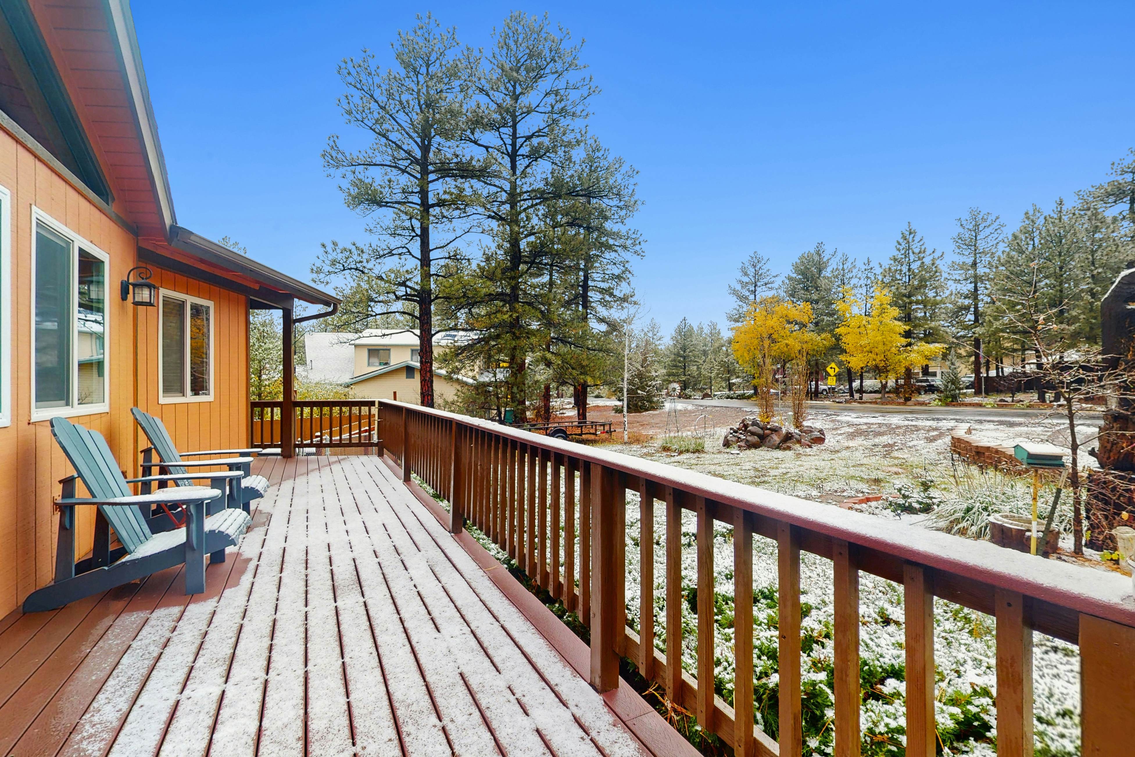 Pine-Perfect Getaway