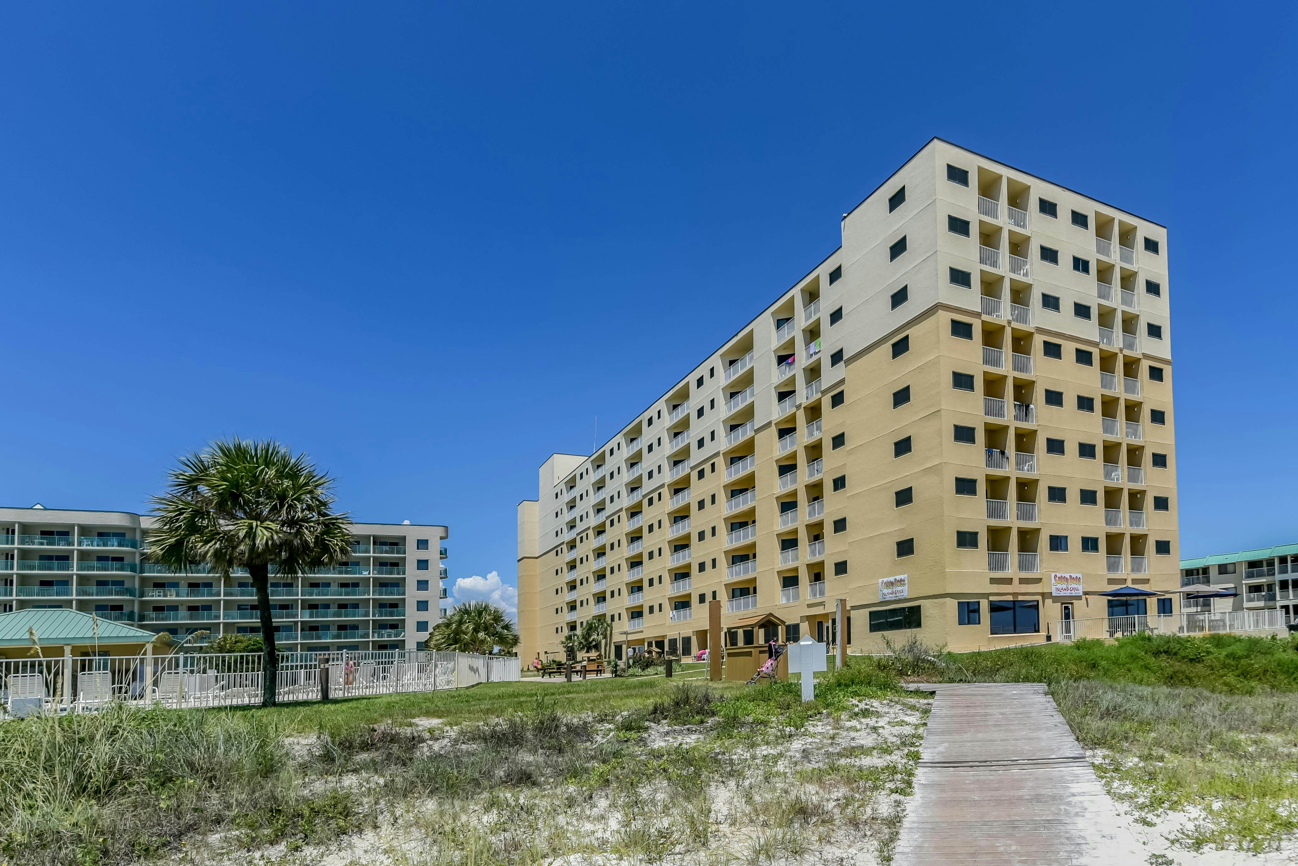 Plantation Palms #6410