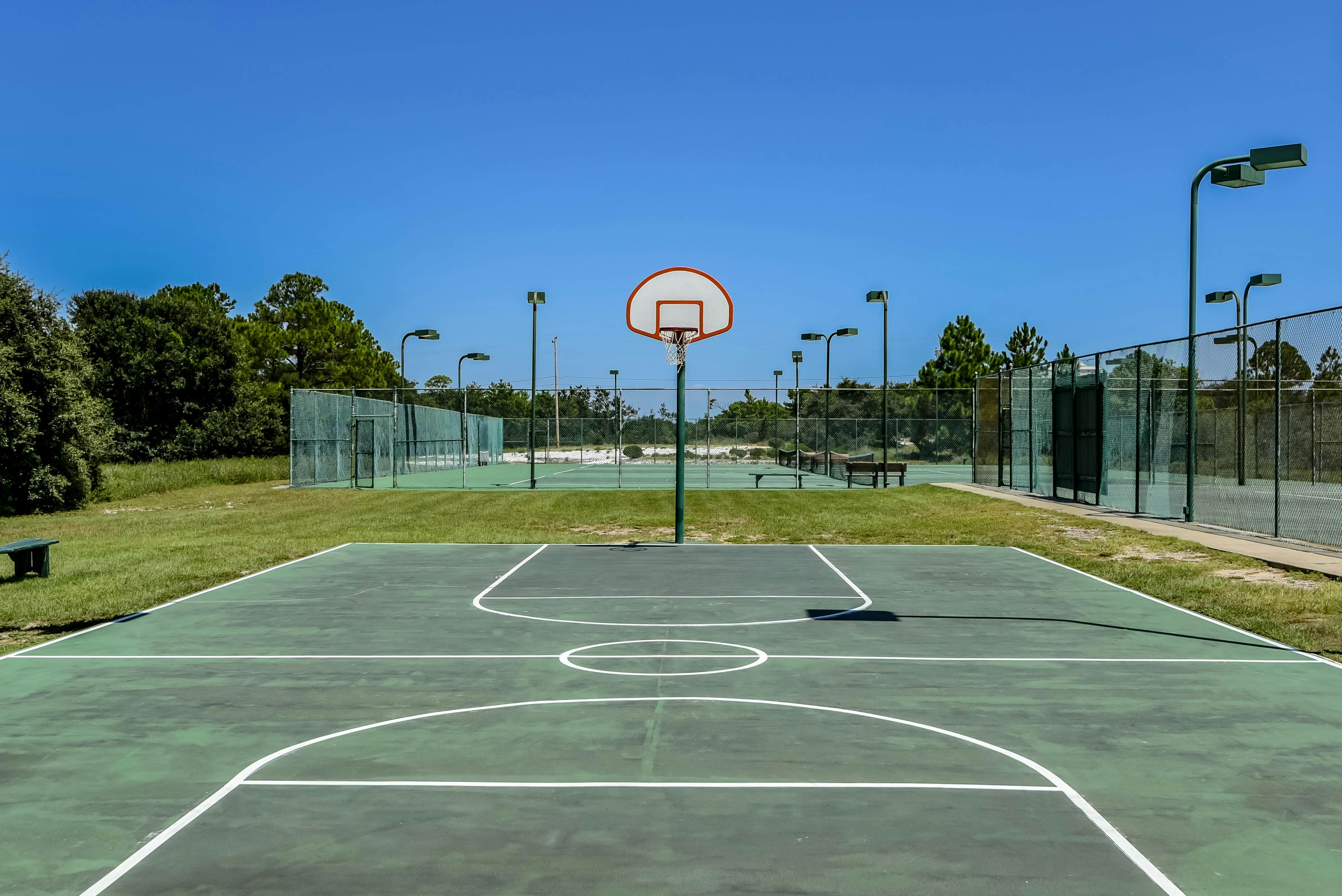 Plantation Palms #6410