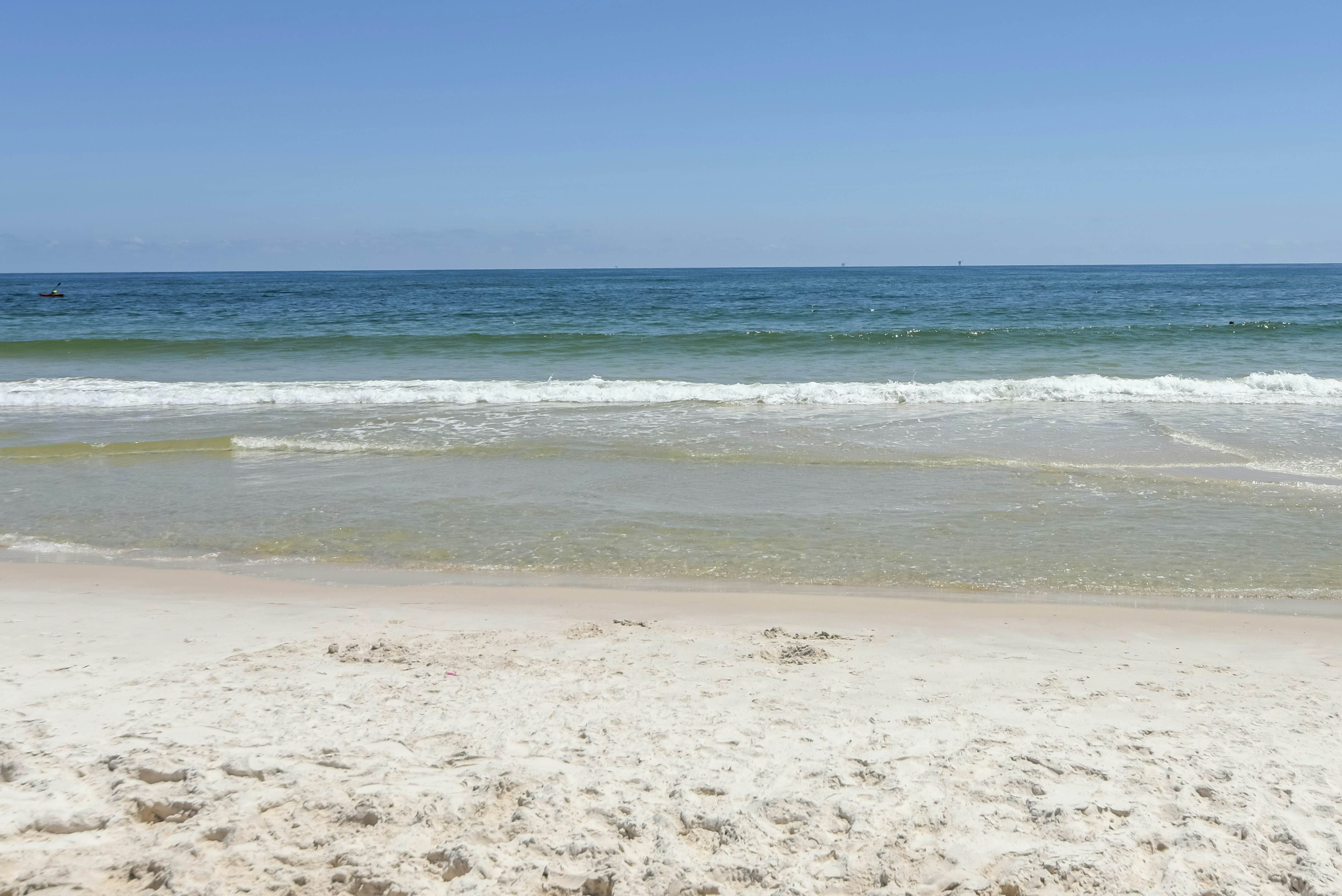 Plantation Palms #6410