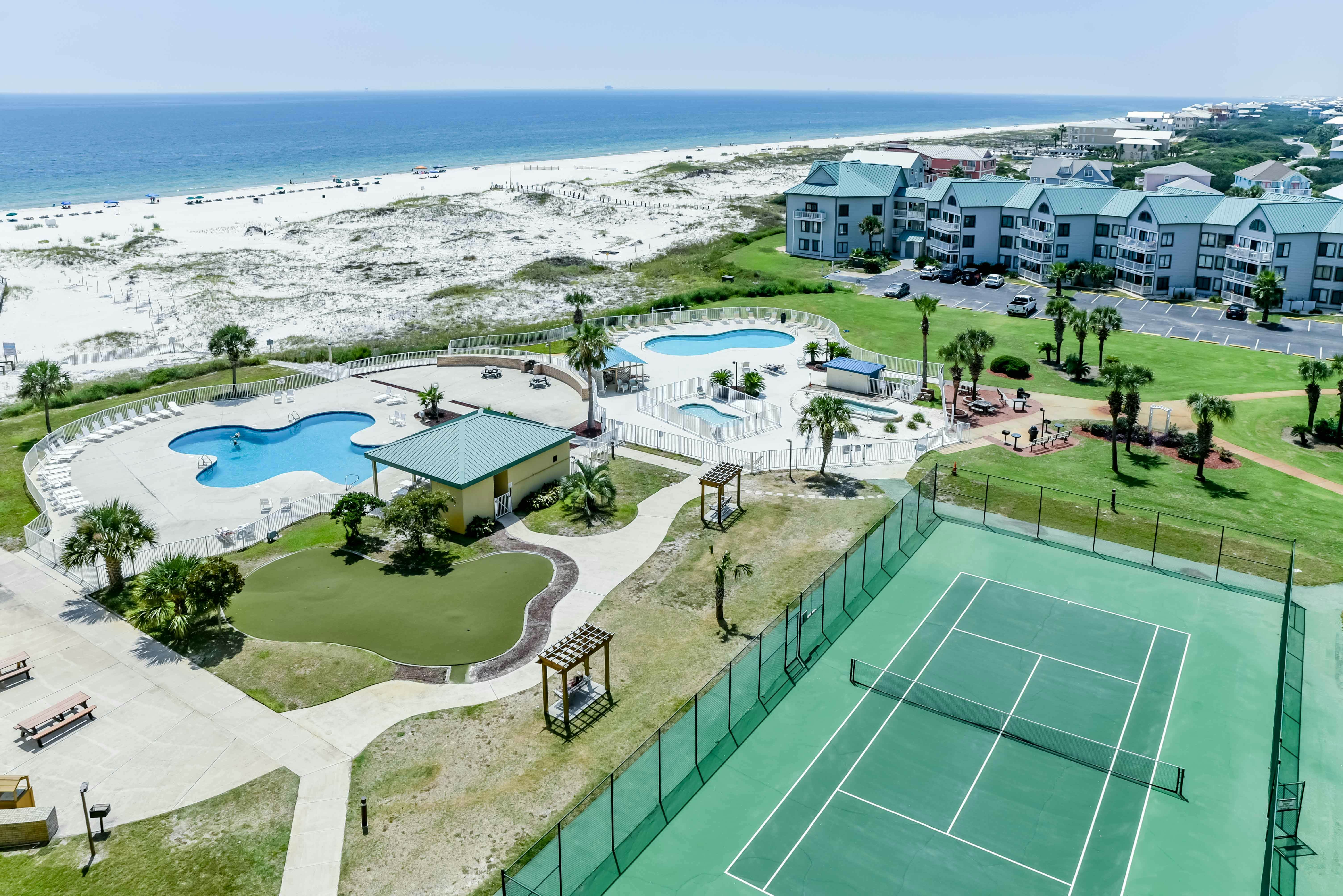 Plantation Palms #6410