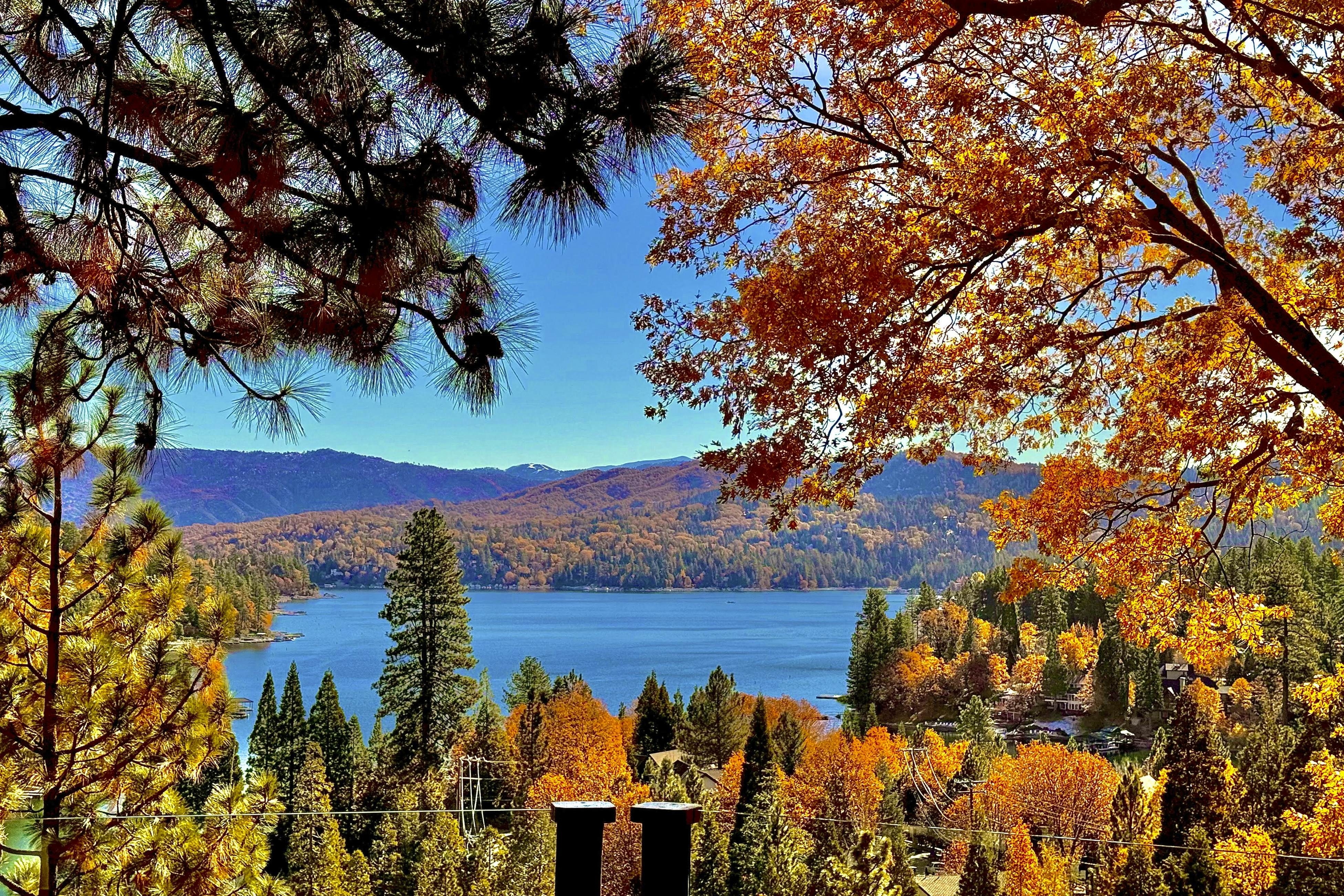 Surreal Feel Lakeview #B (Upstairs)