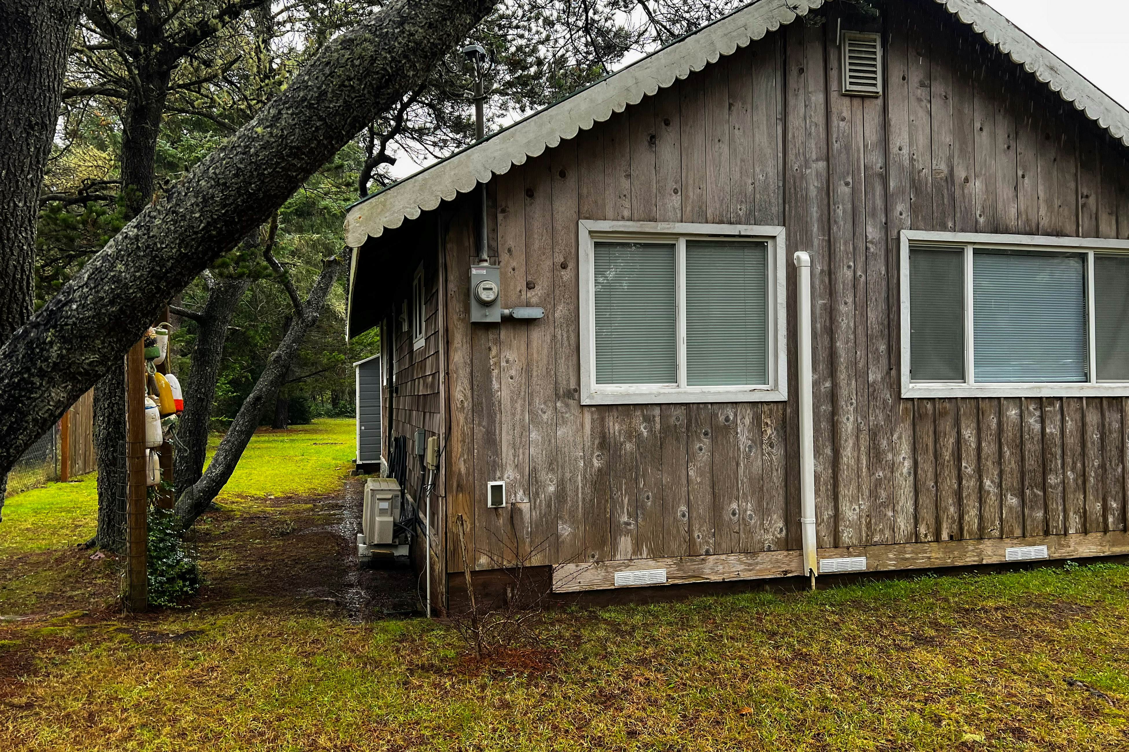 Ten Pines Cottage in Ocean Shores