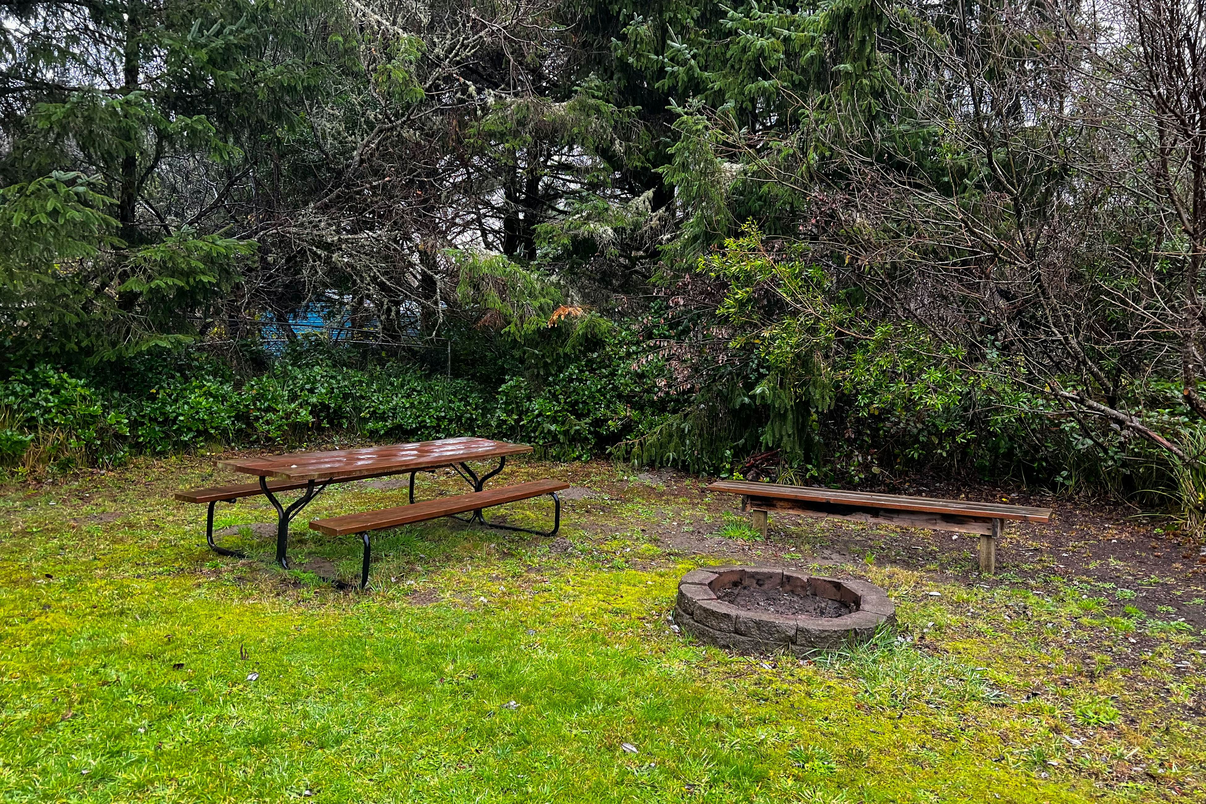 Ten Pines Cottage in Ocean Shores