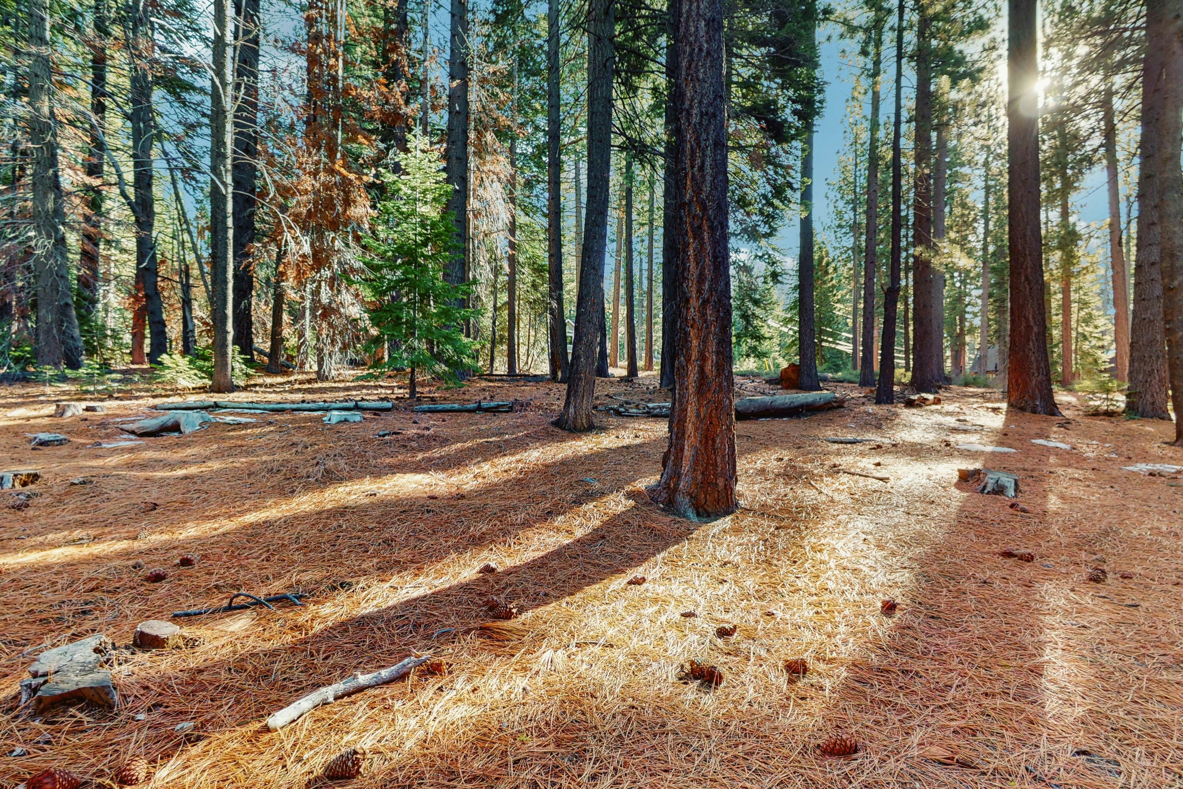 Sierra Nevada Serenity