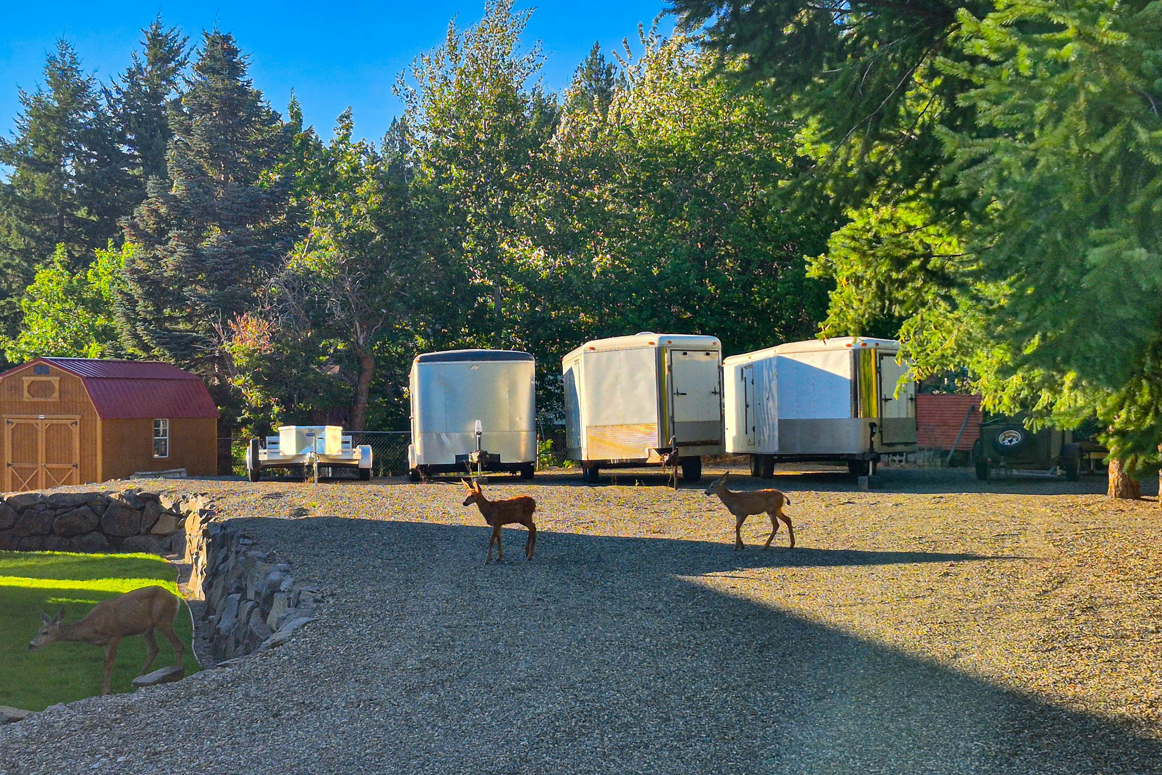 No. 3 Coal Mine Cabin & Studio