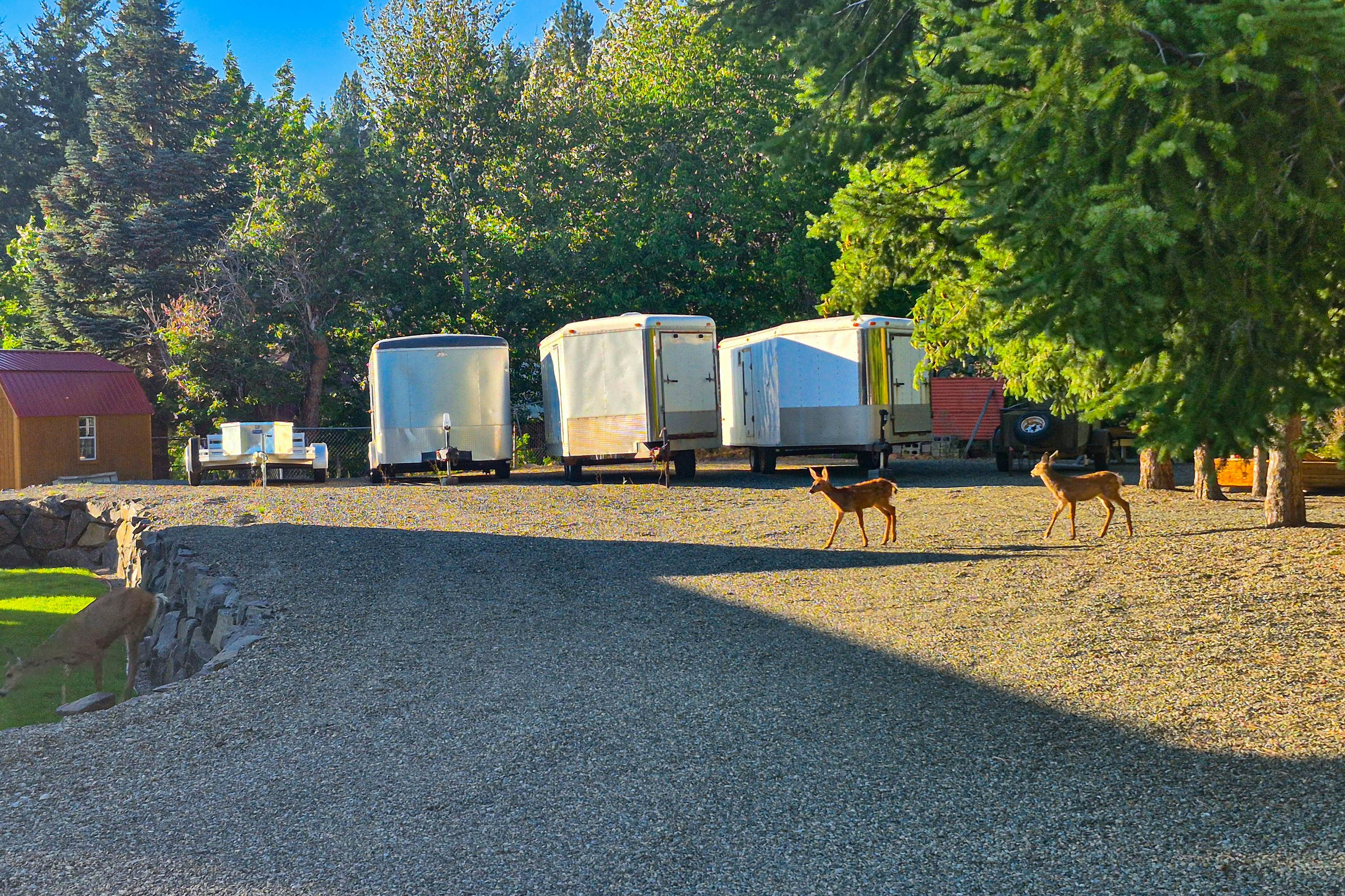 No. 3 Coal Mine Cabin