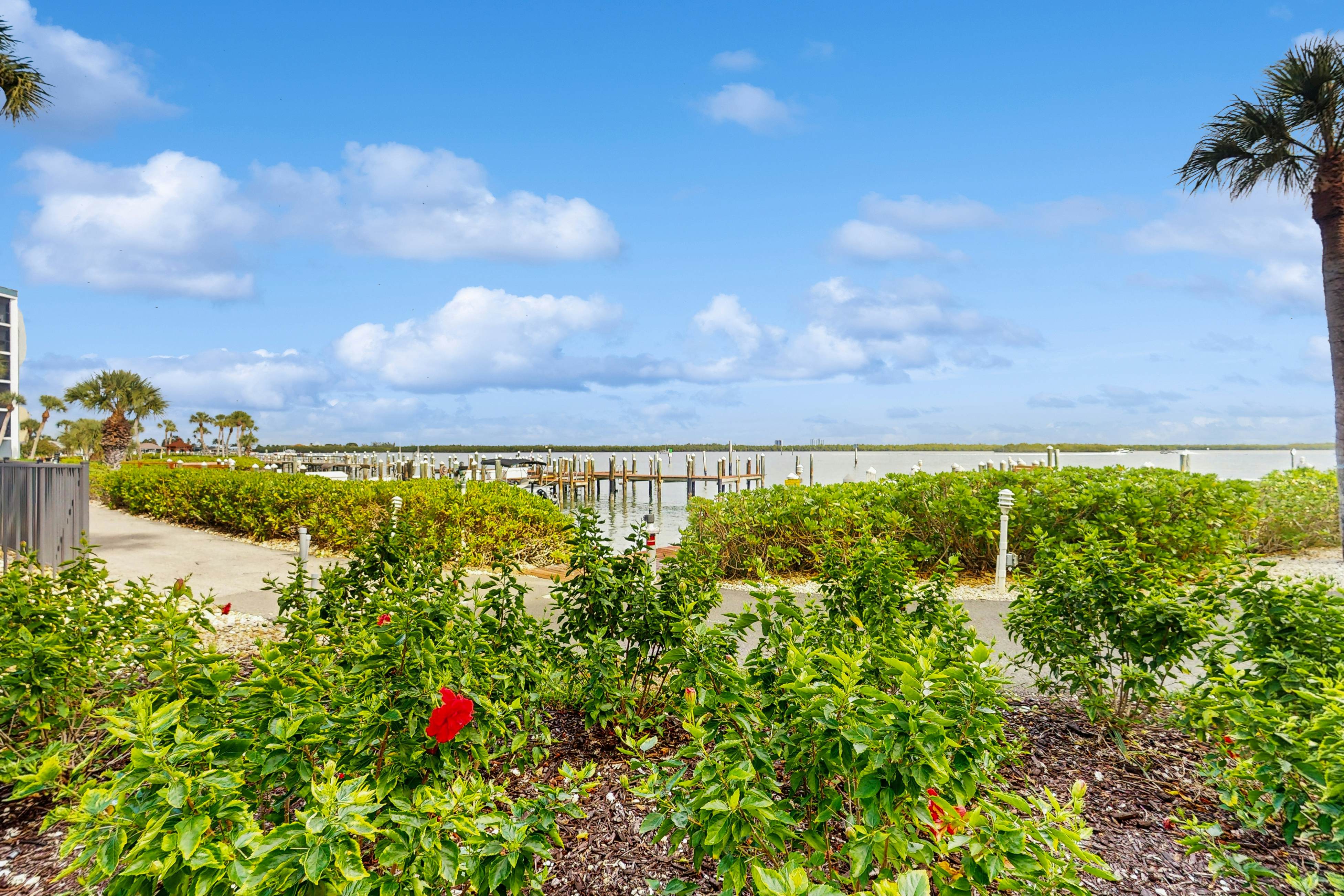 The Southern Paradise