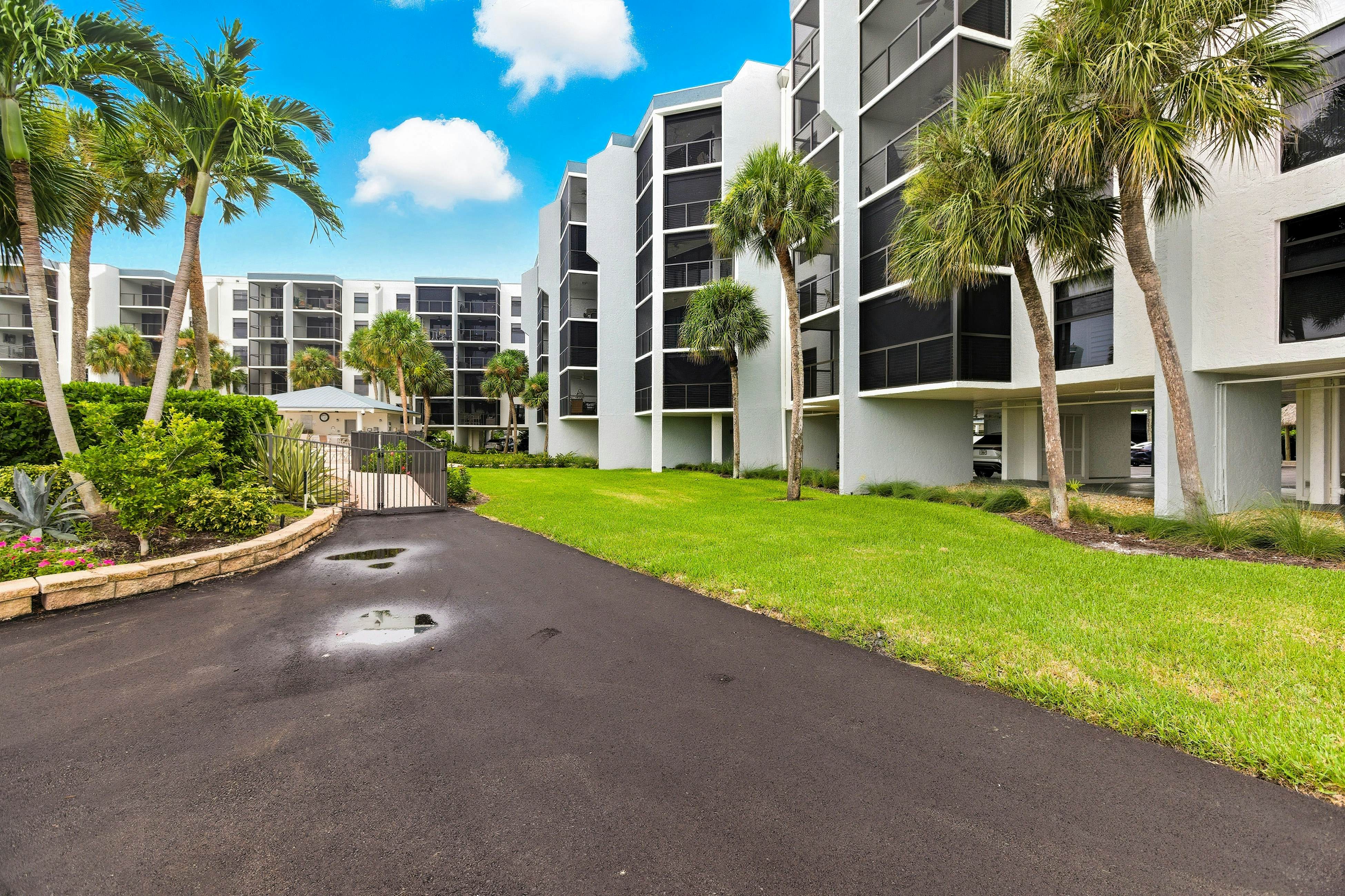 The Southern Paradise