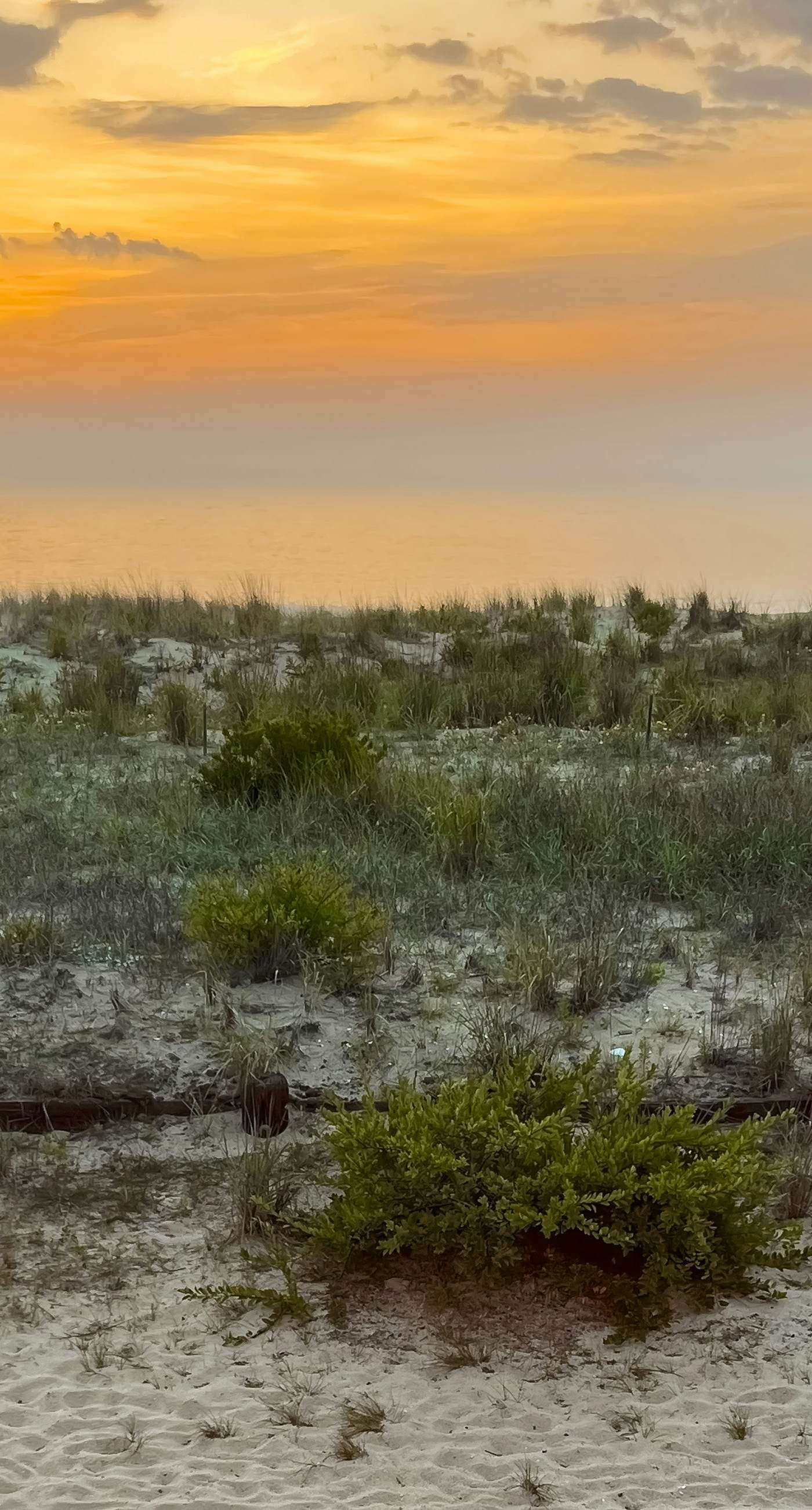 Town of Dewey Beach - 4 Seastrand Ct, Unit #16