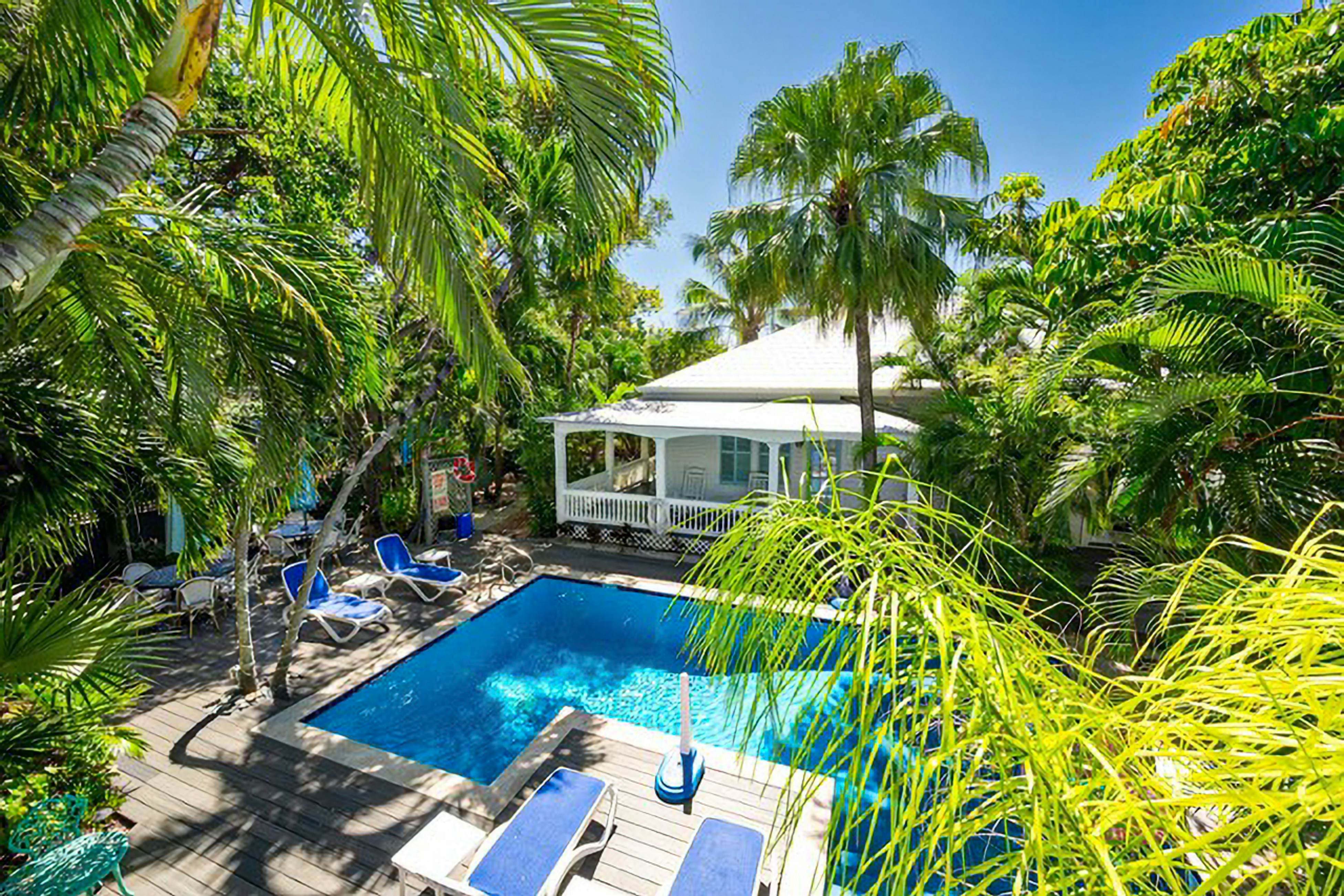 Papa's Hideaway #1 - Torrents of Spring