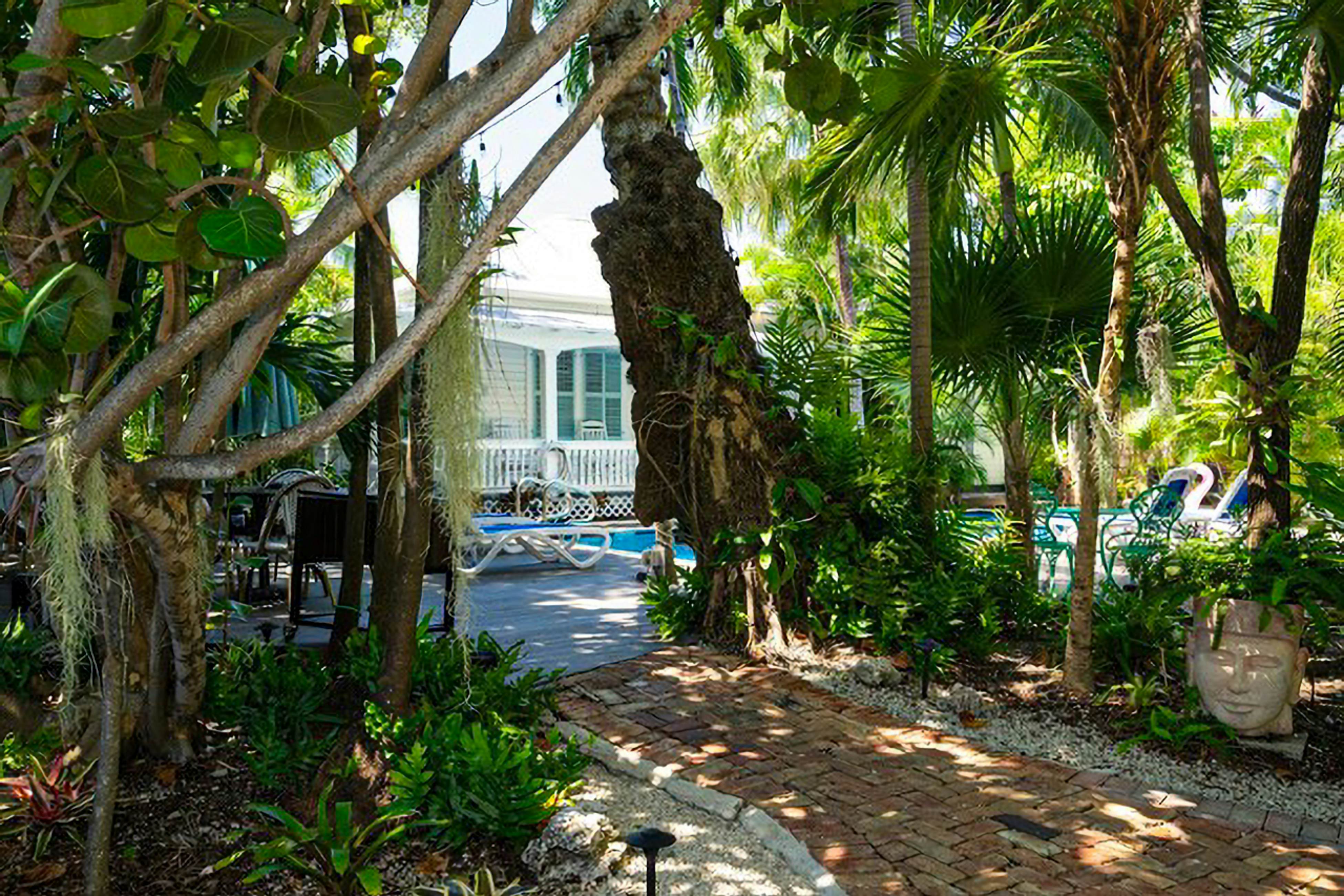 Papa's Hideaway #1 - Torrents of Spring