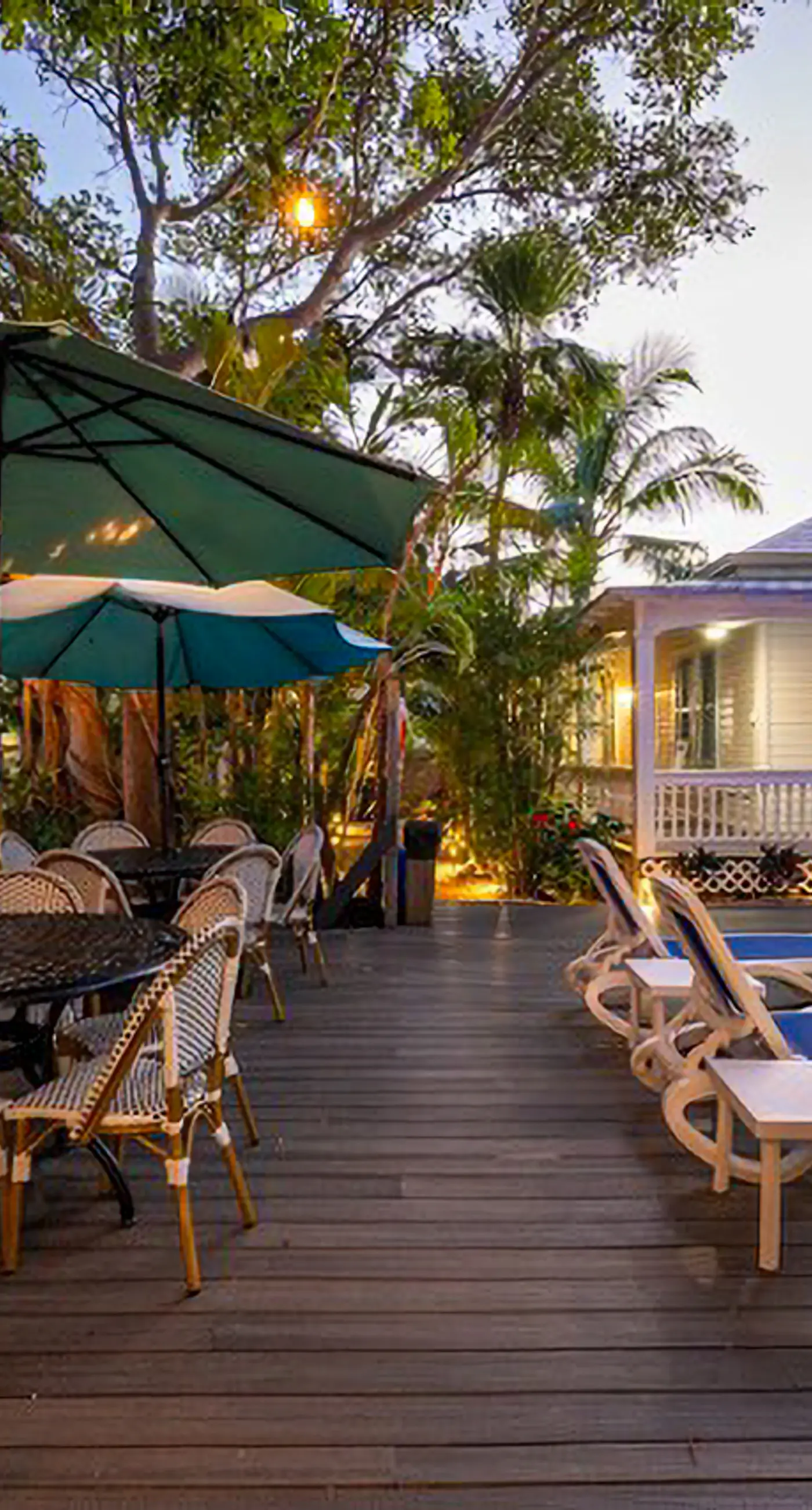 Papa's Hideaway #4 - Islands in the Stream