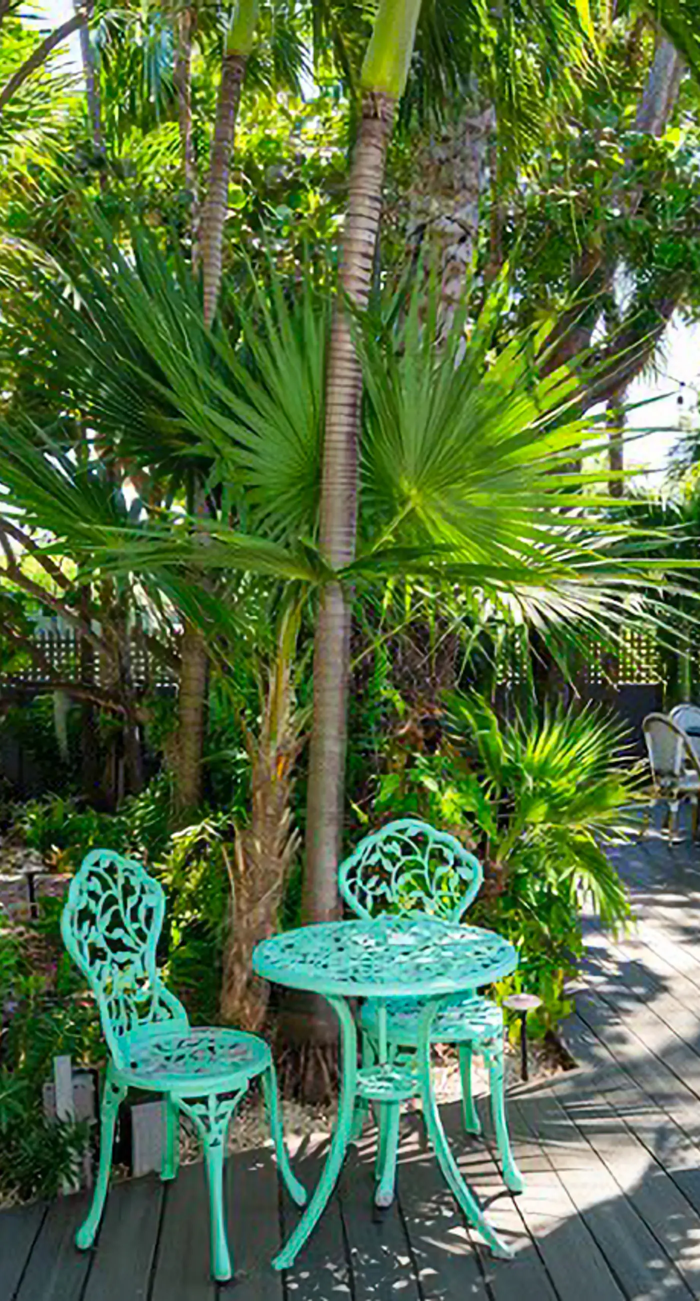 Papa's Hideaway #4 - Islands in the Stream