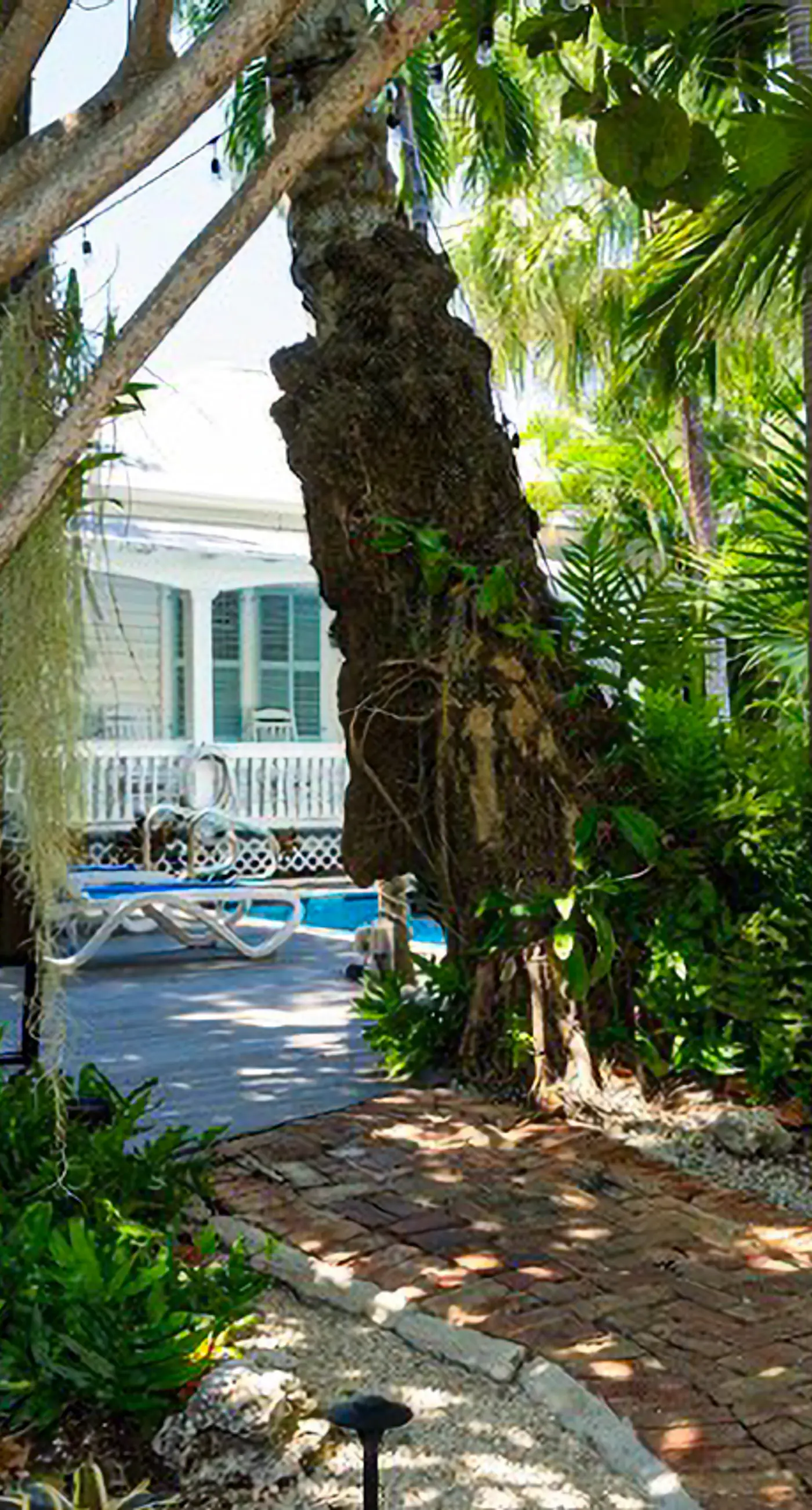 Papa's Hideaway #4 - Islands in the Stream