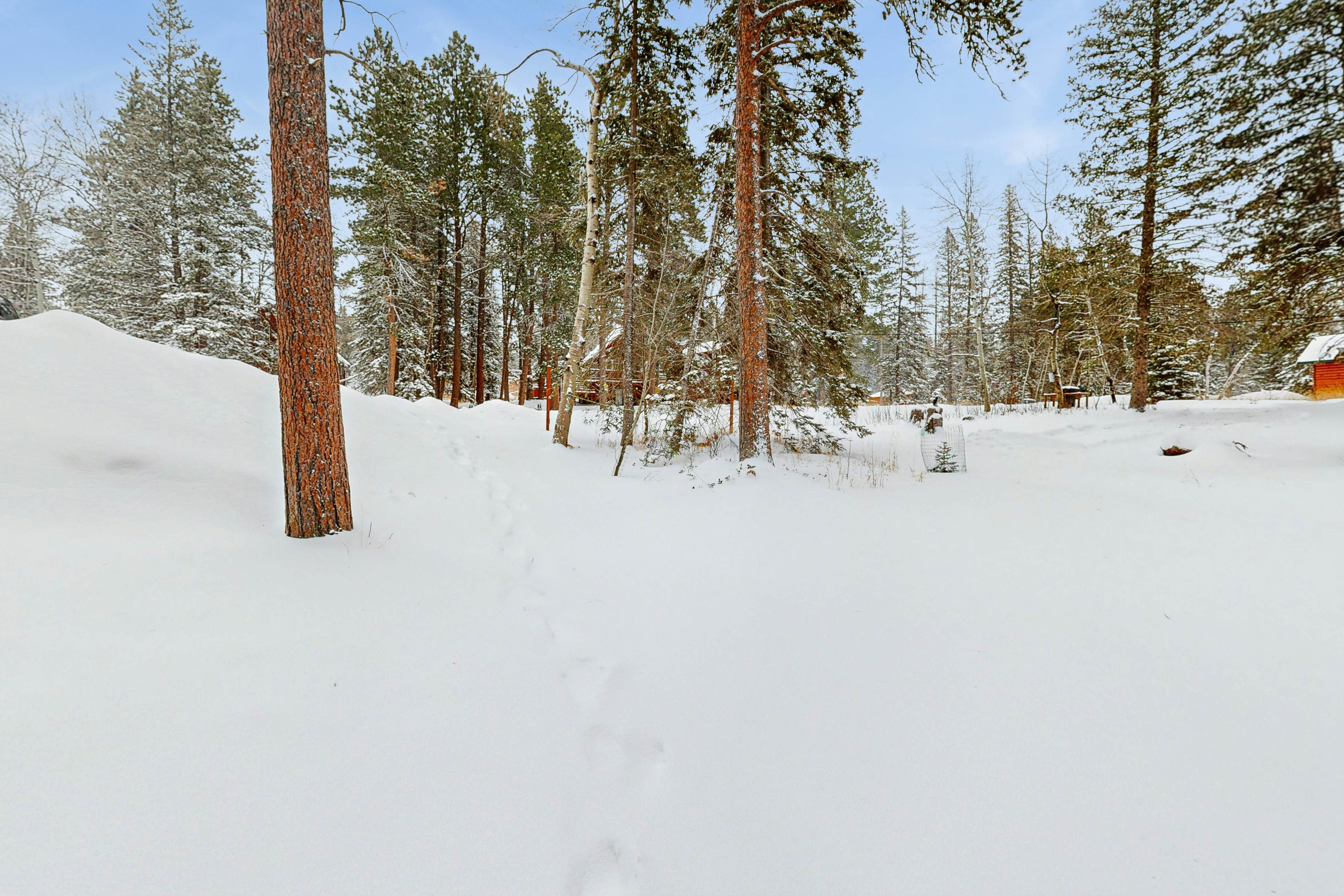 Summer Skjol & Ski Haus